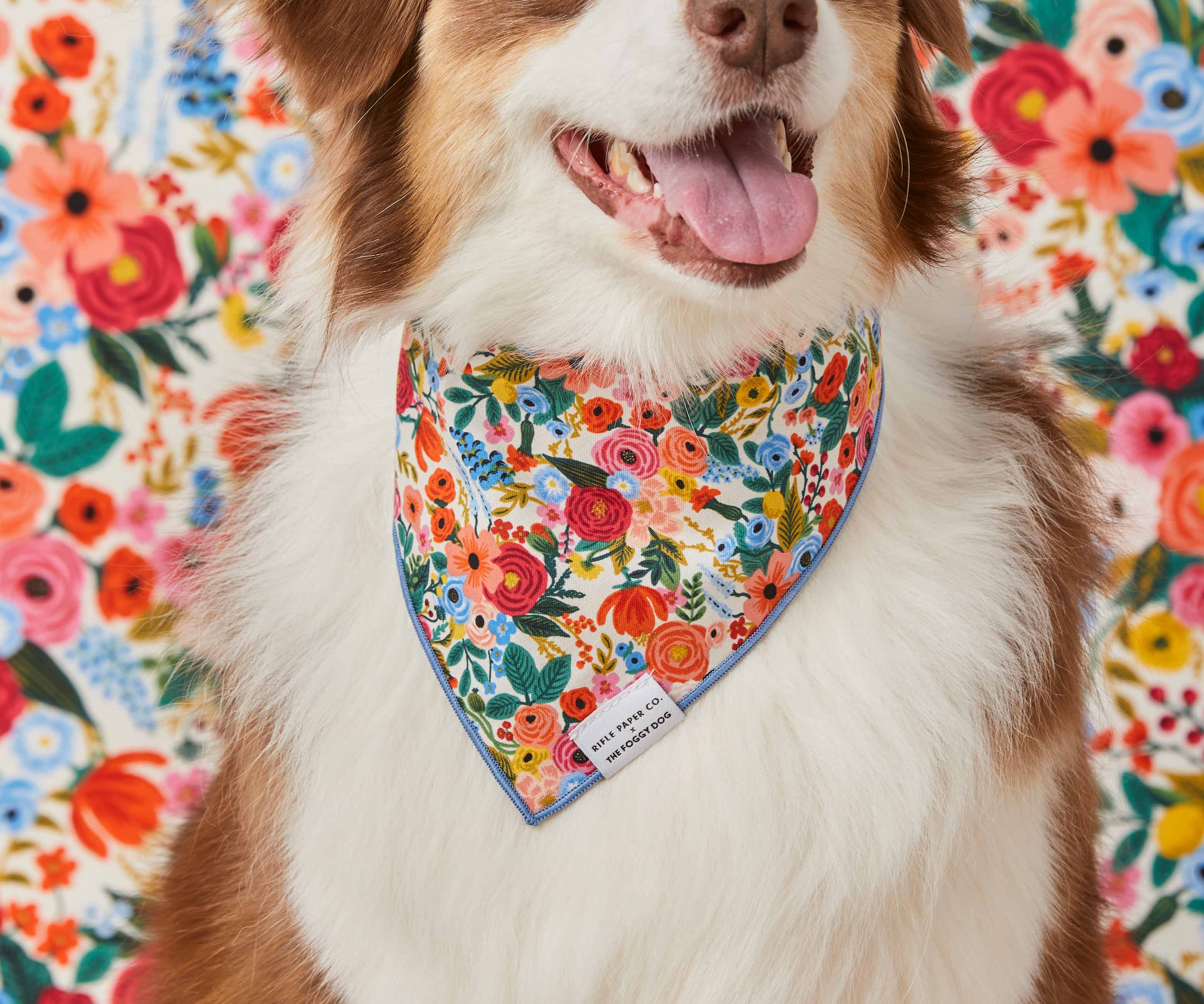 Garden Party Cream Dog Bandana