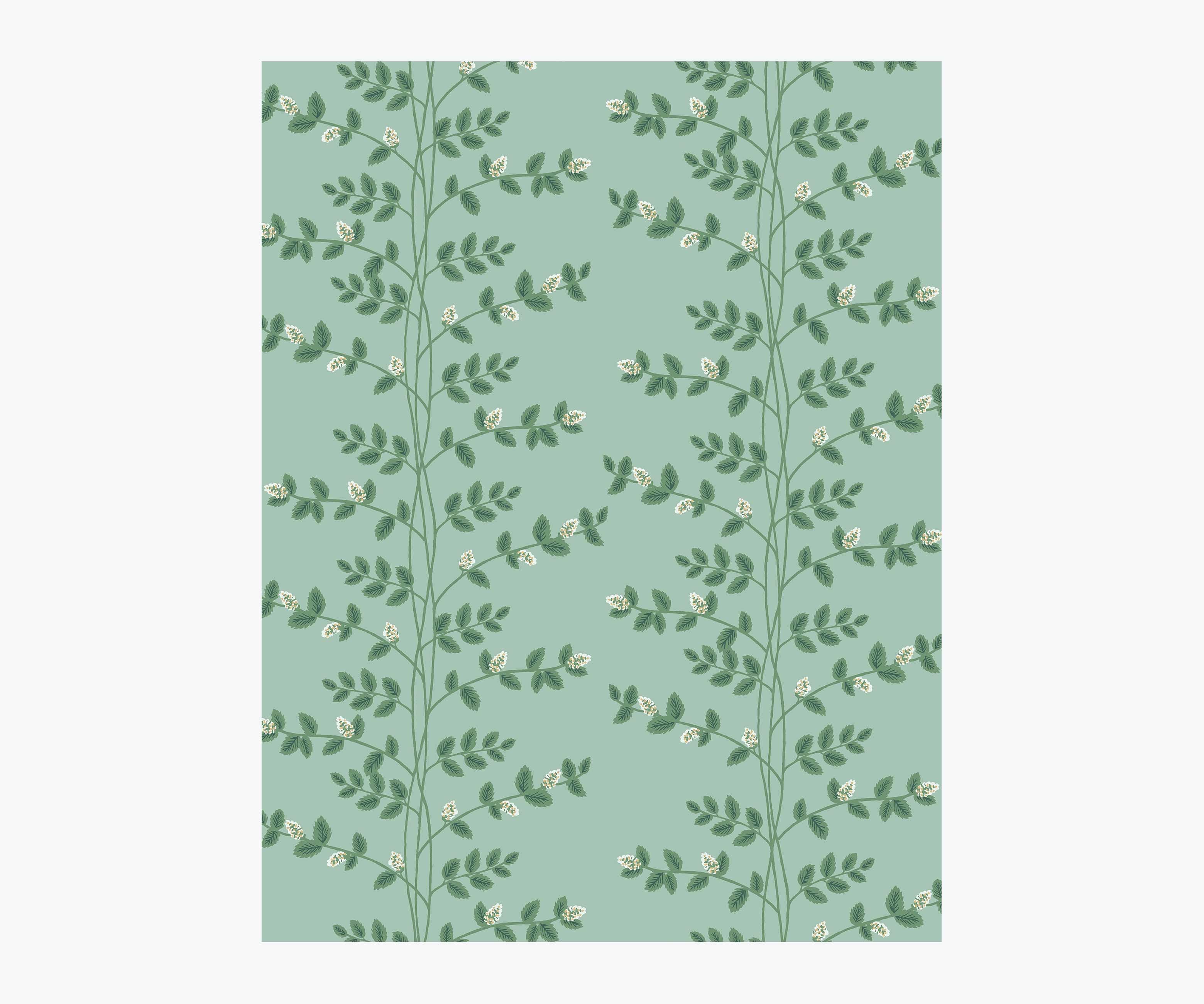 Climbing Vines Wallpaper Sample - Teal