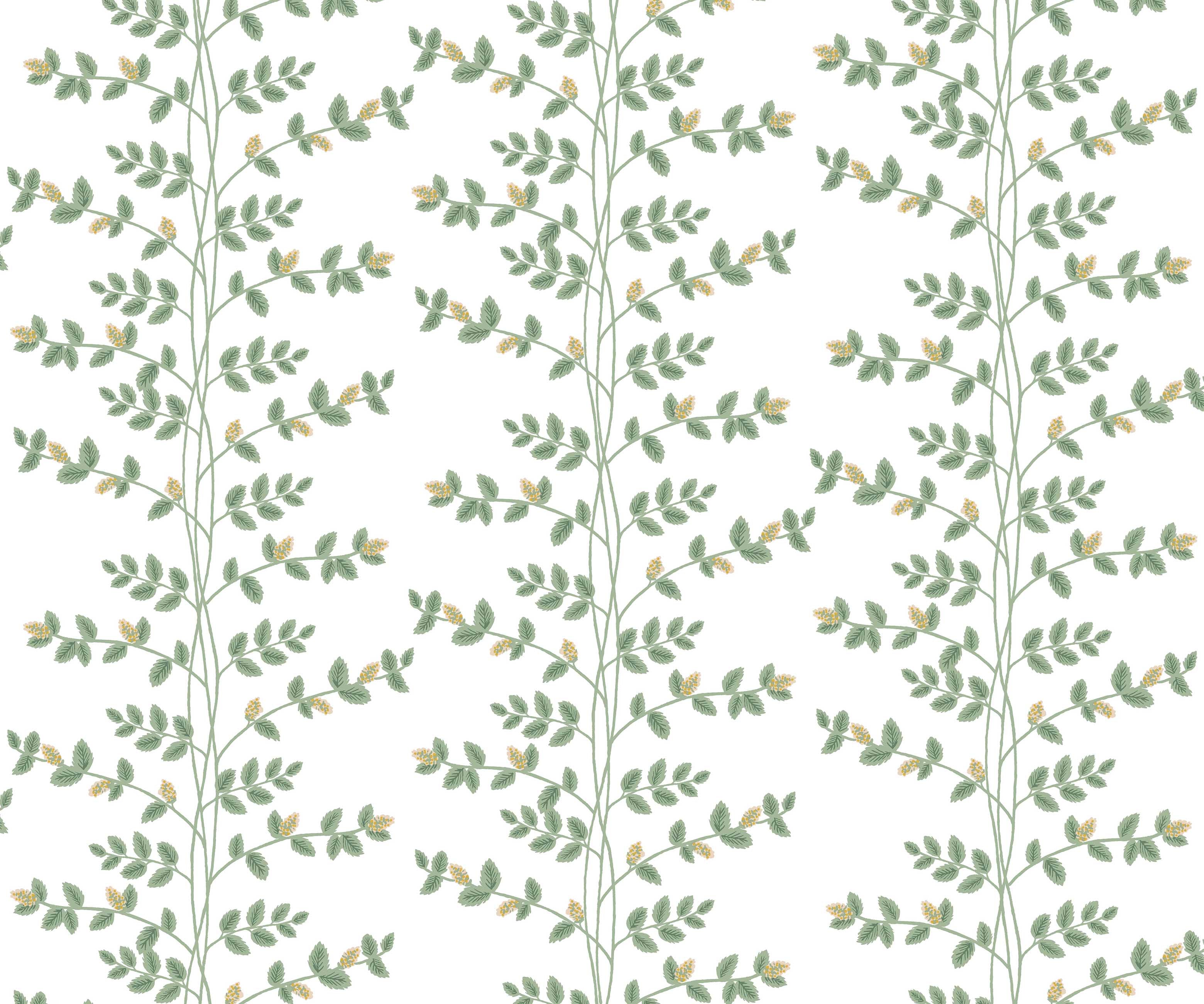 Climbing Vines Wallpaper - White & Metallic Gold