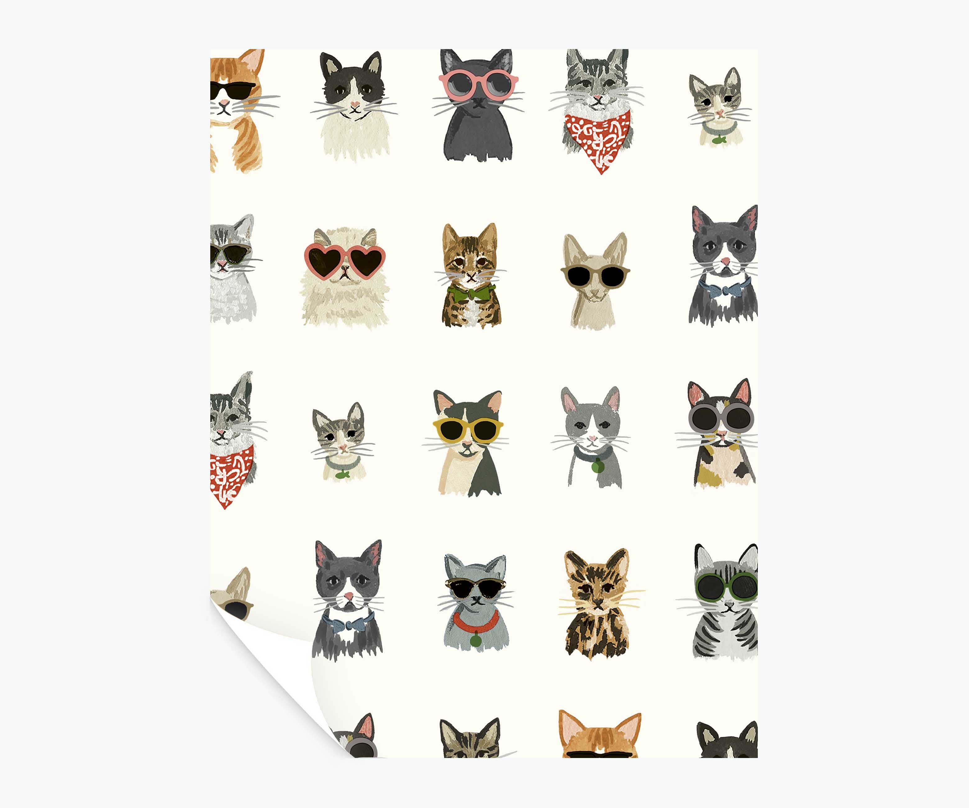 Cool Cats Peel & Stick Wallpaper Sample - White Multi