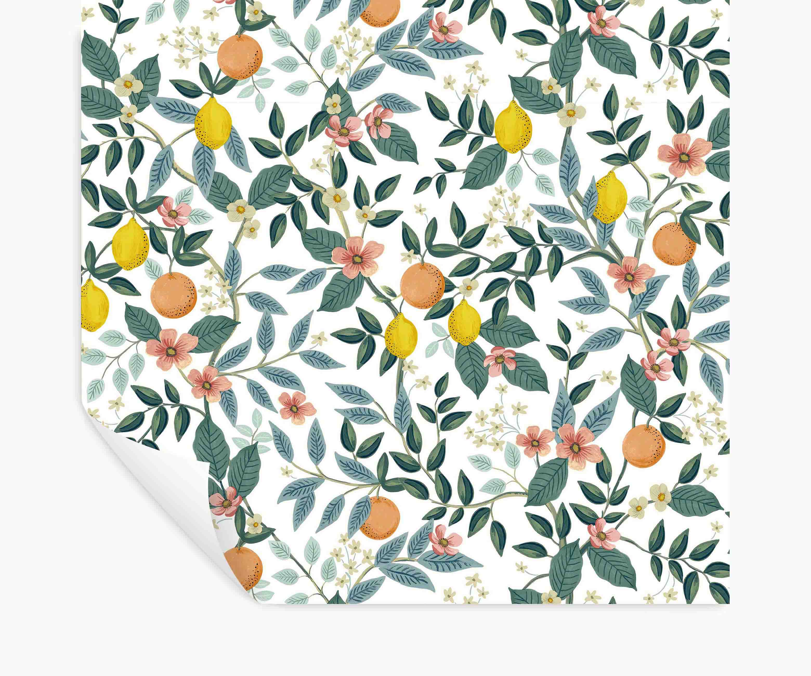 Citrus Grove Peel & Stick Wallpaper - White