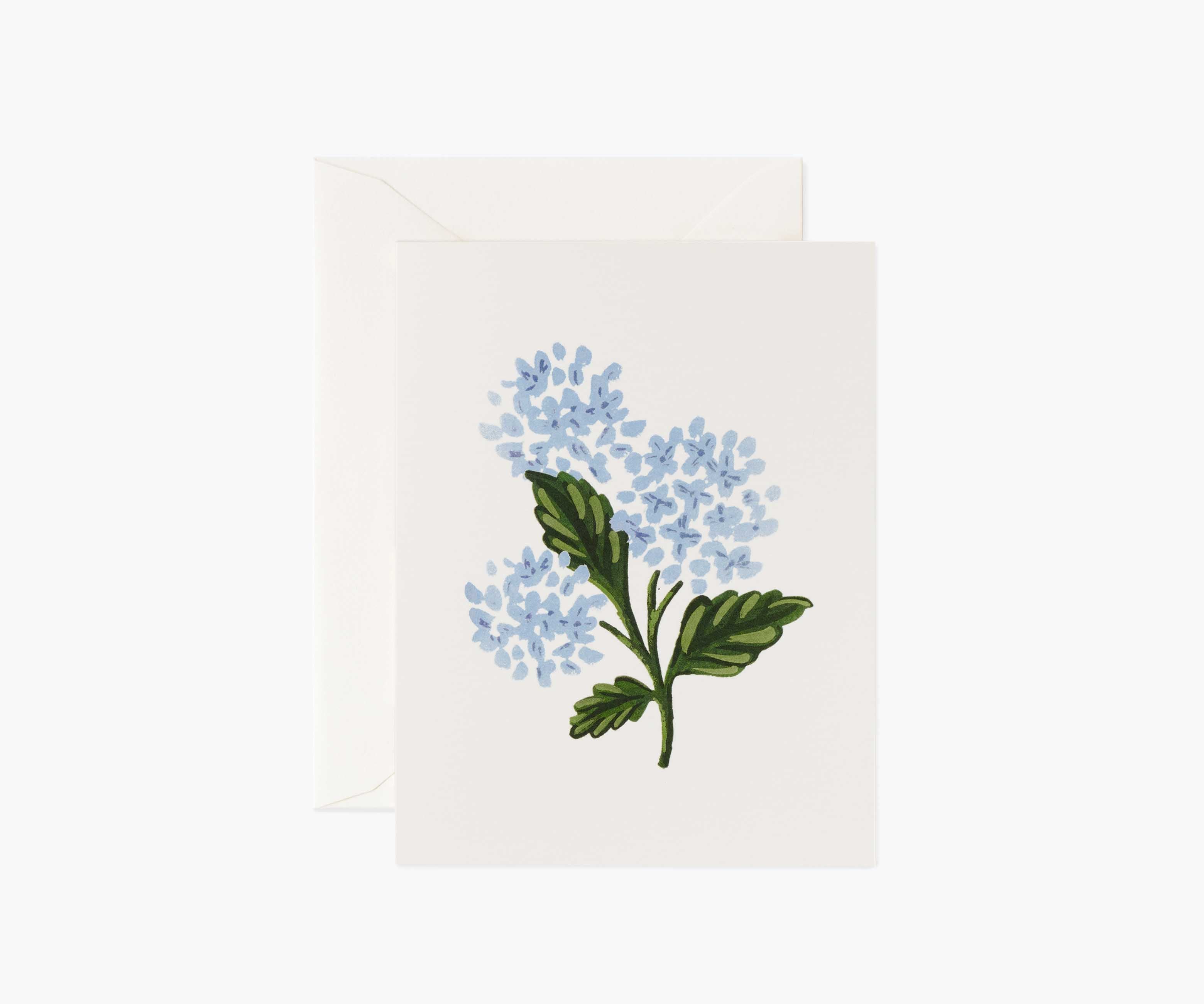 Hydrangea Bloom Card