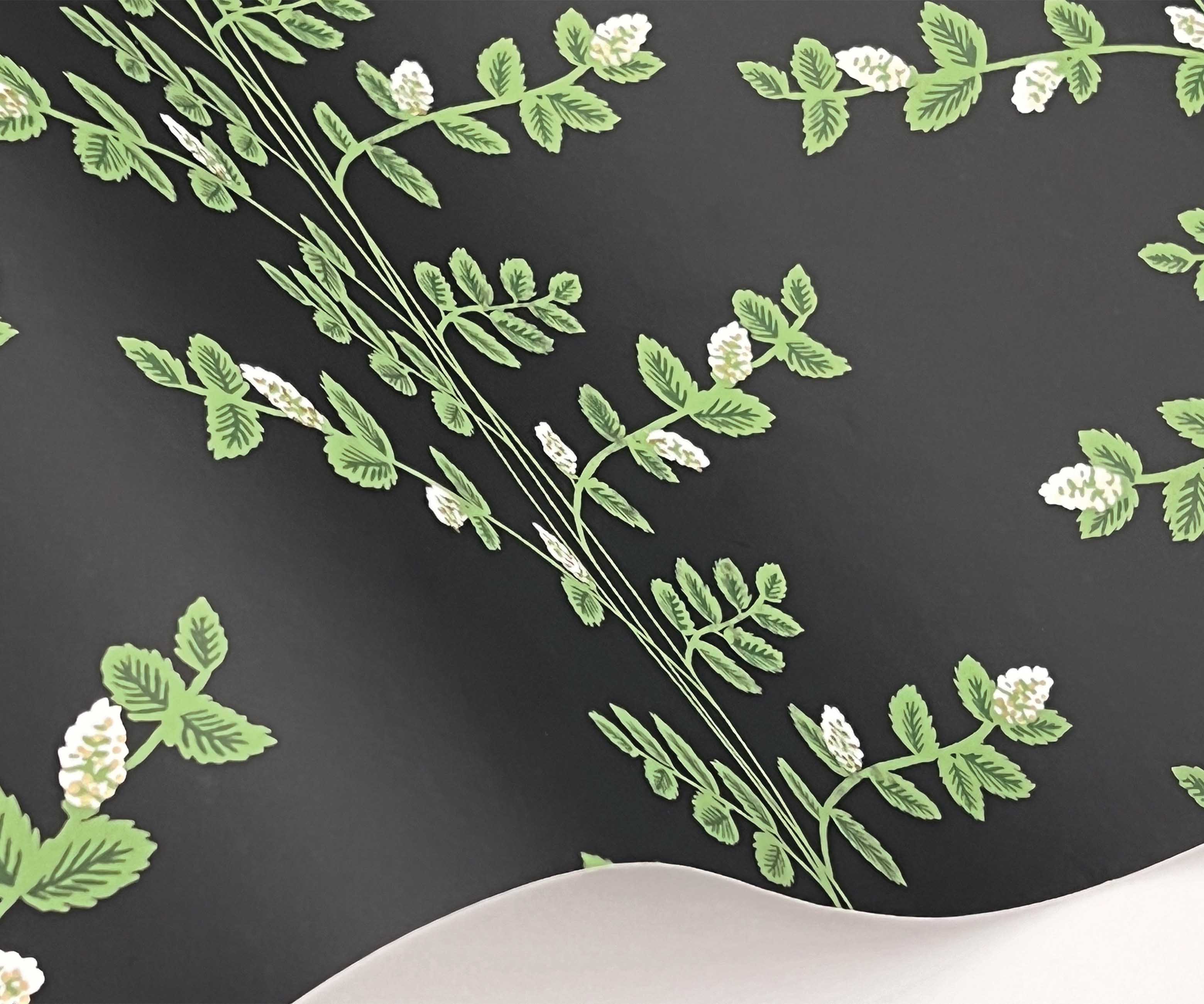 Climbing Vines Wallpaper Sample - Black