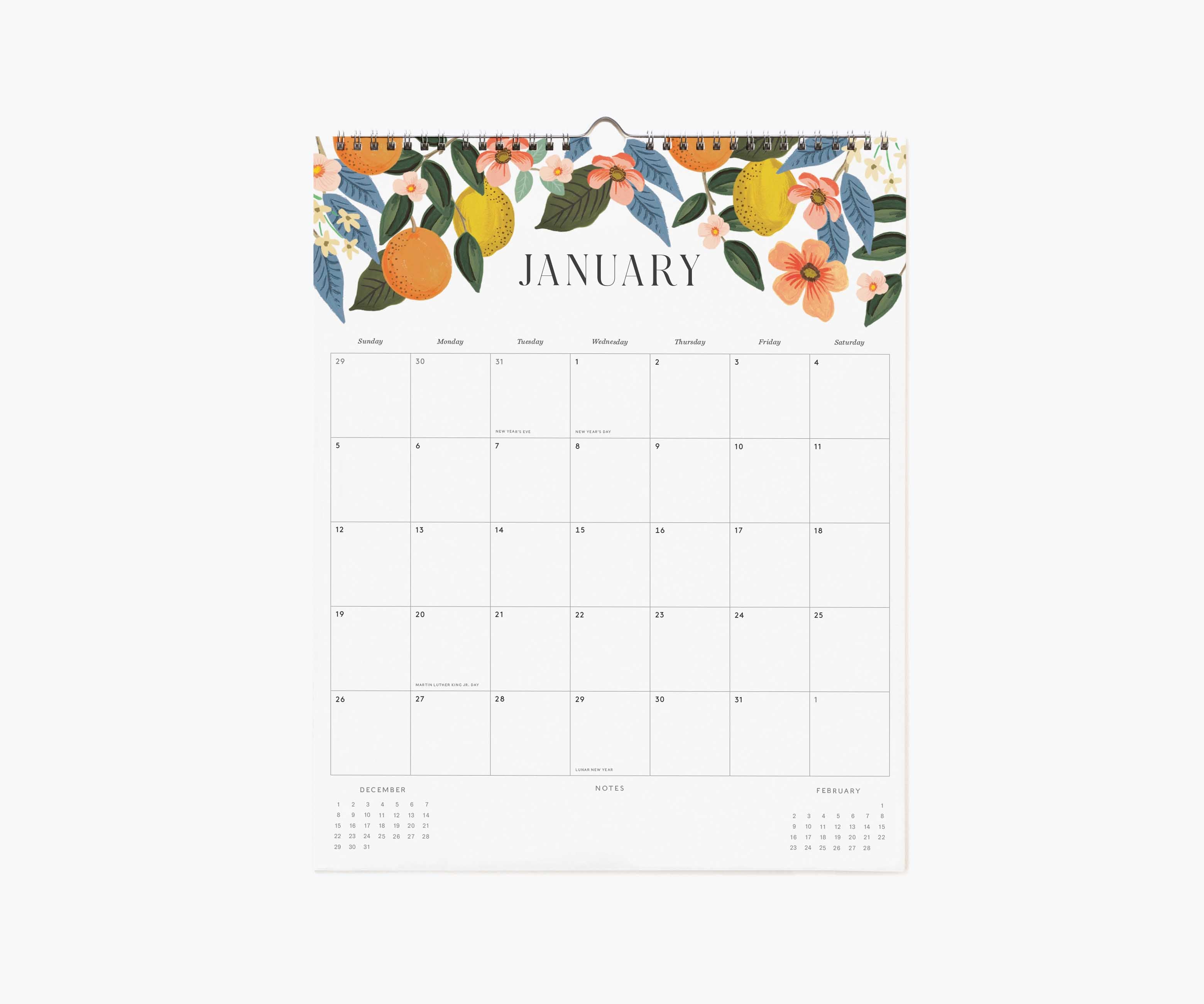 2025 Appointment Calendar - Roses