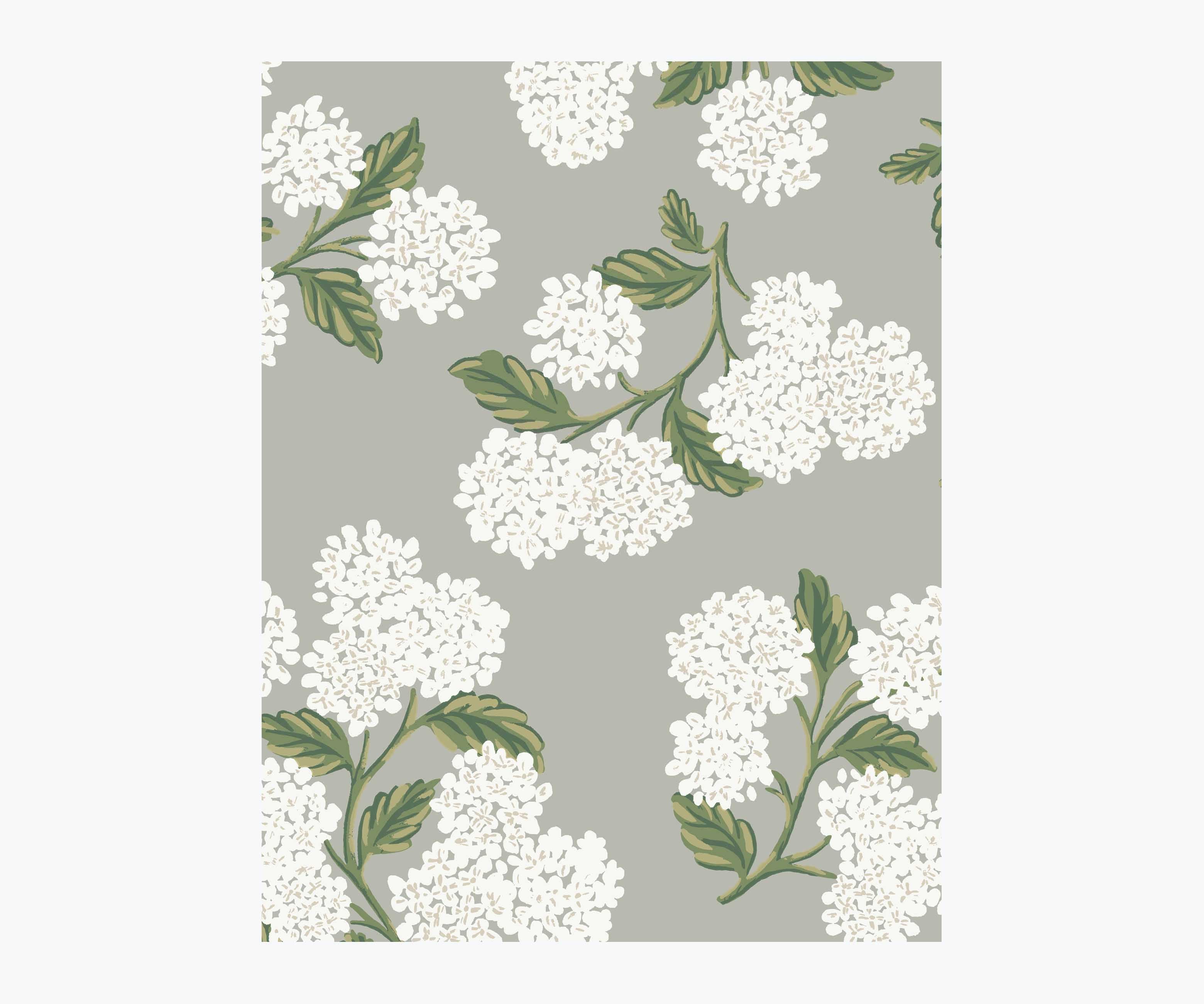 Hydrangea Wallpaper Sample - Grey