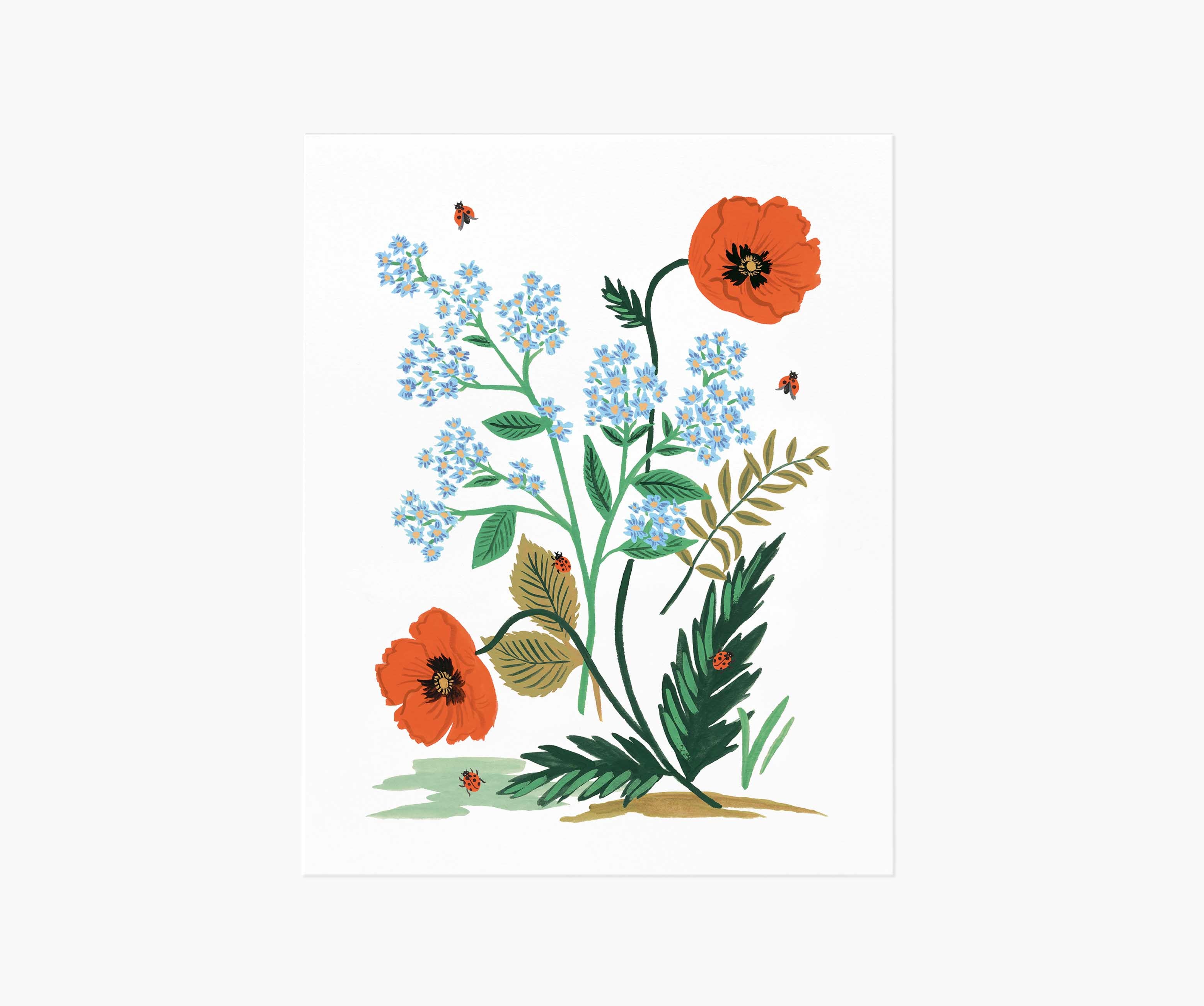 Iceland Poppy Art Print