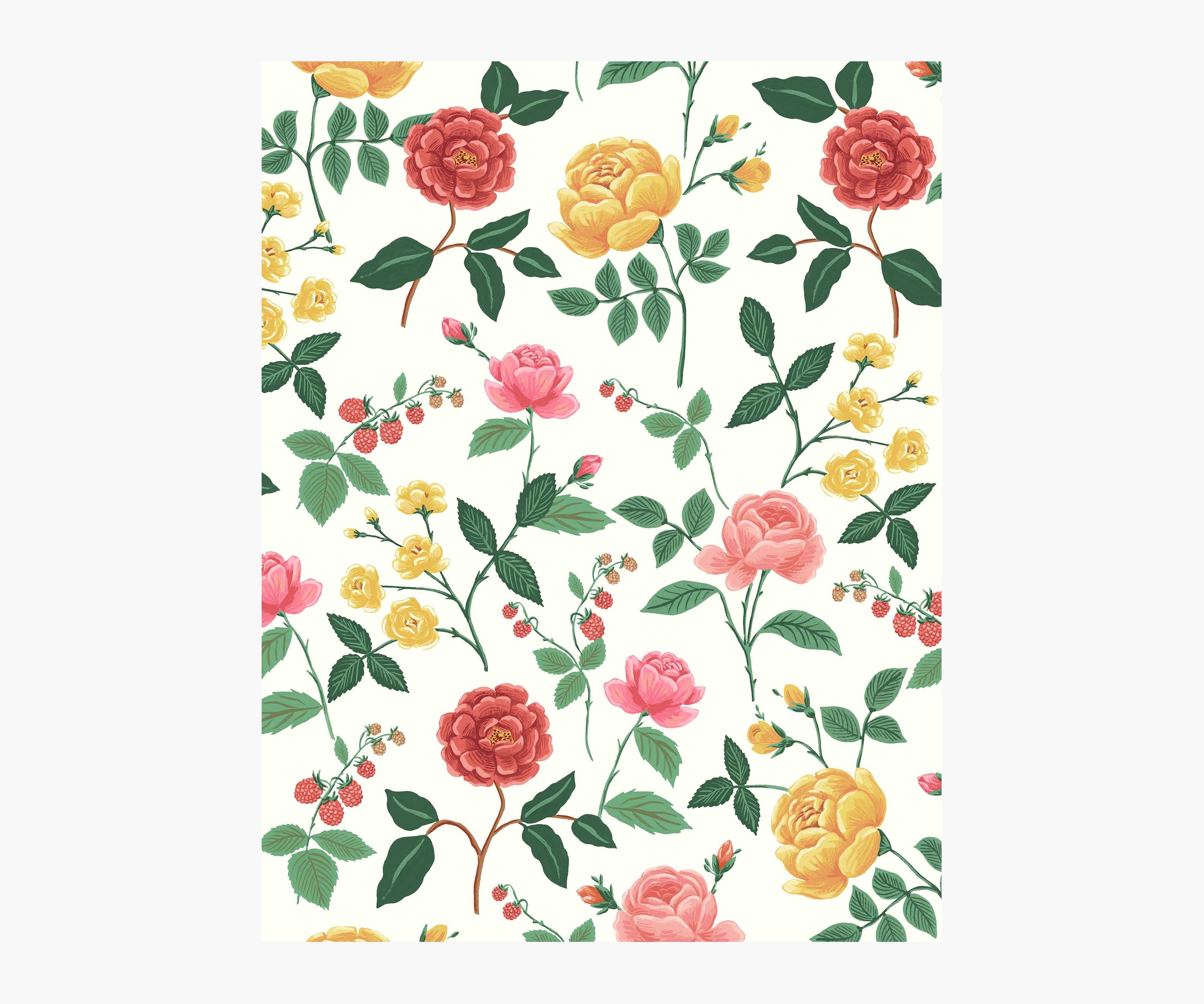 Roses Wallpaper Sample - White & Blush