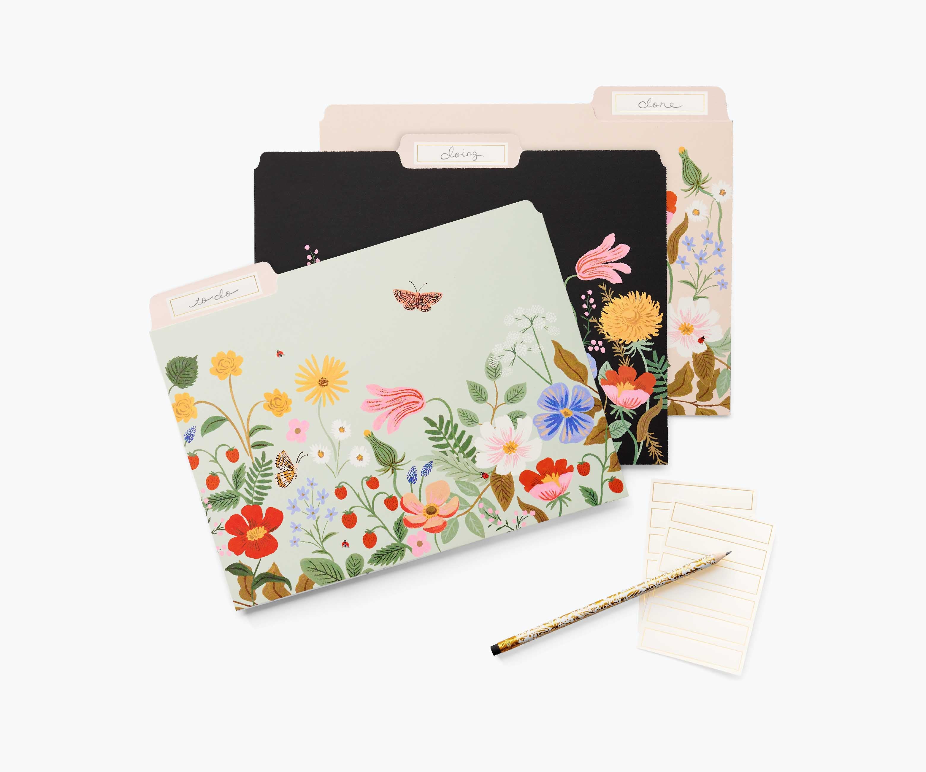 Assorted File Folders - Strawberry Fields