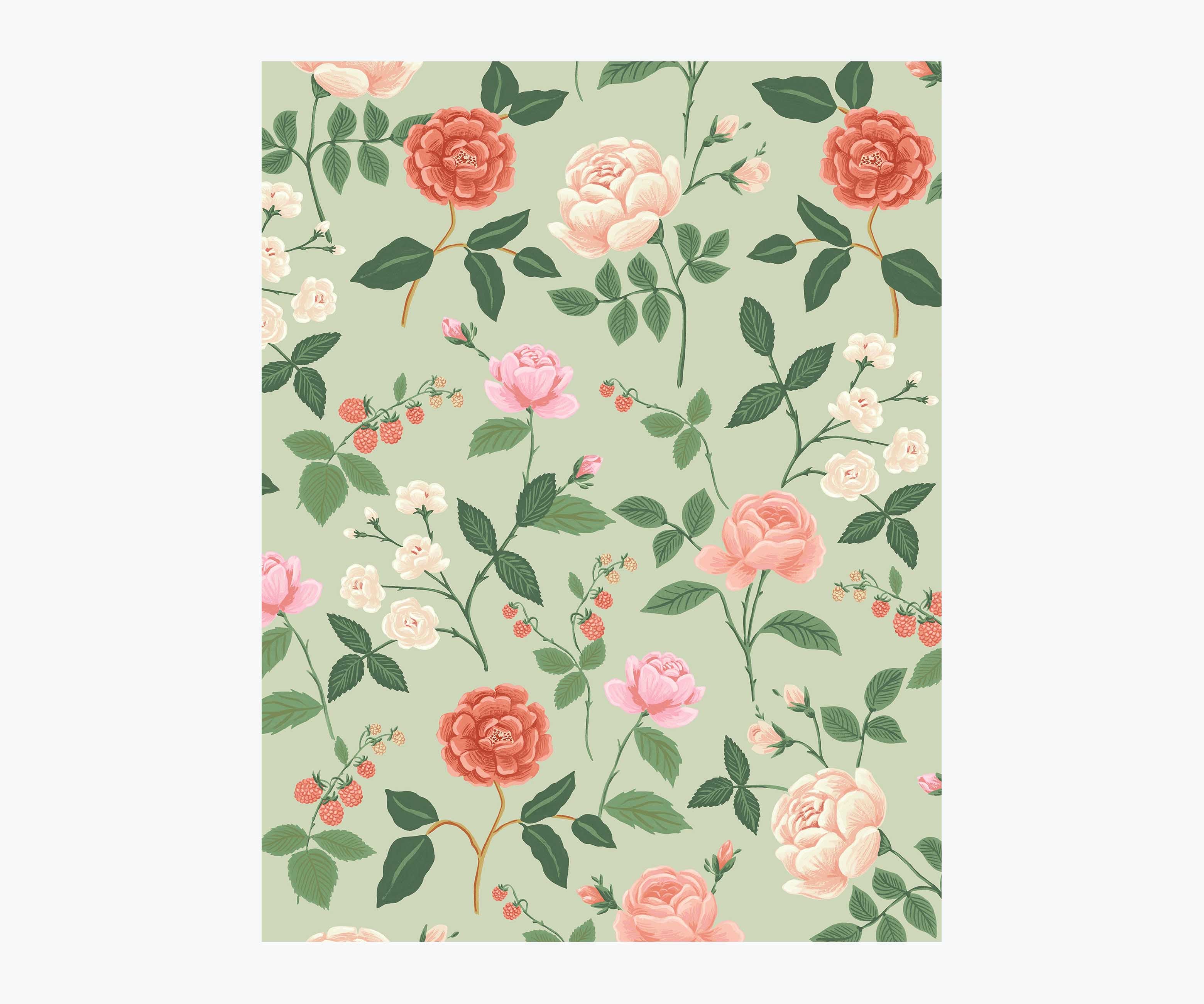 Roses Wallpaper Sample - Mint