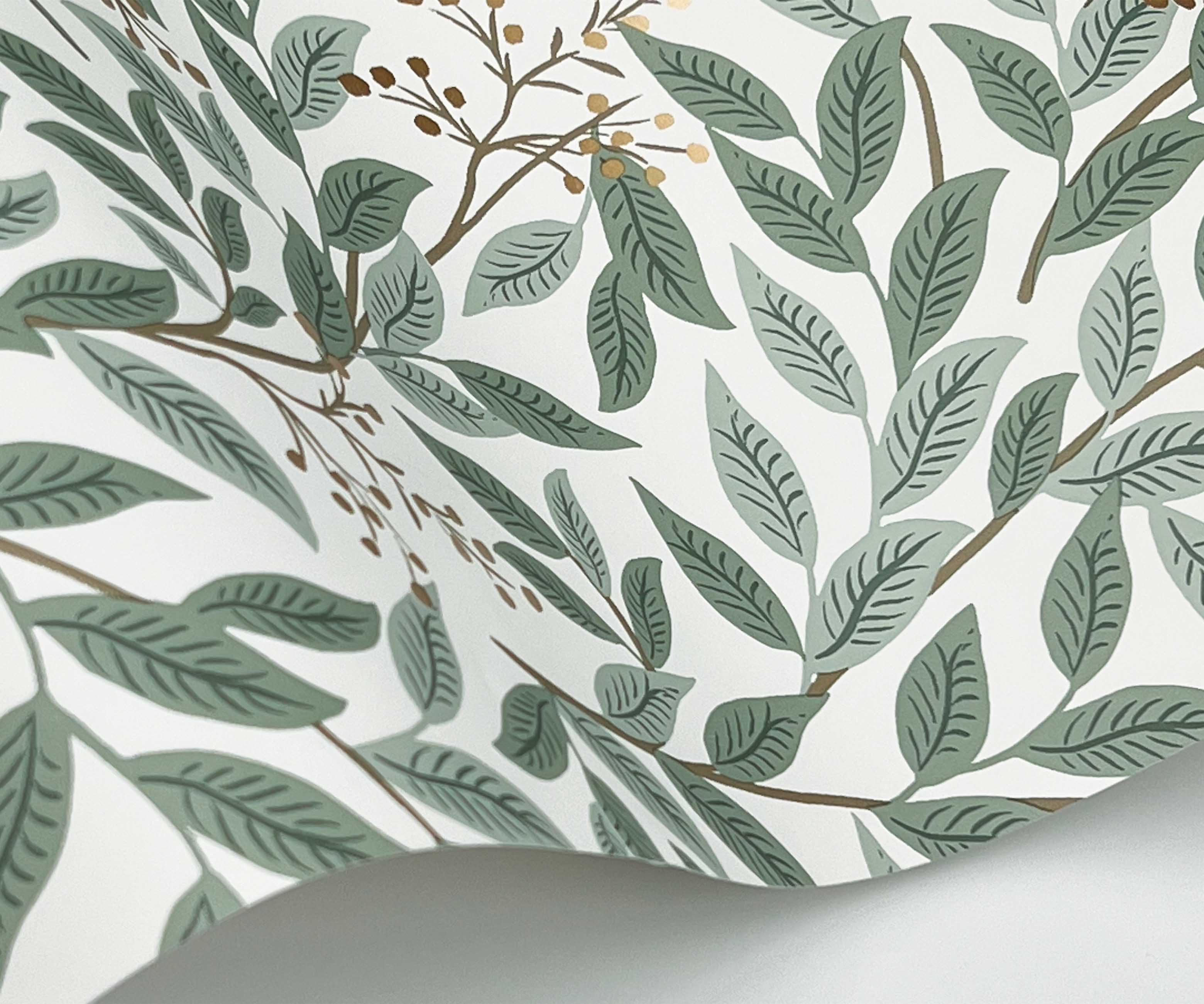 Willowberry Wallpaper - Sage & White