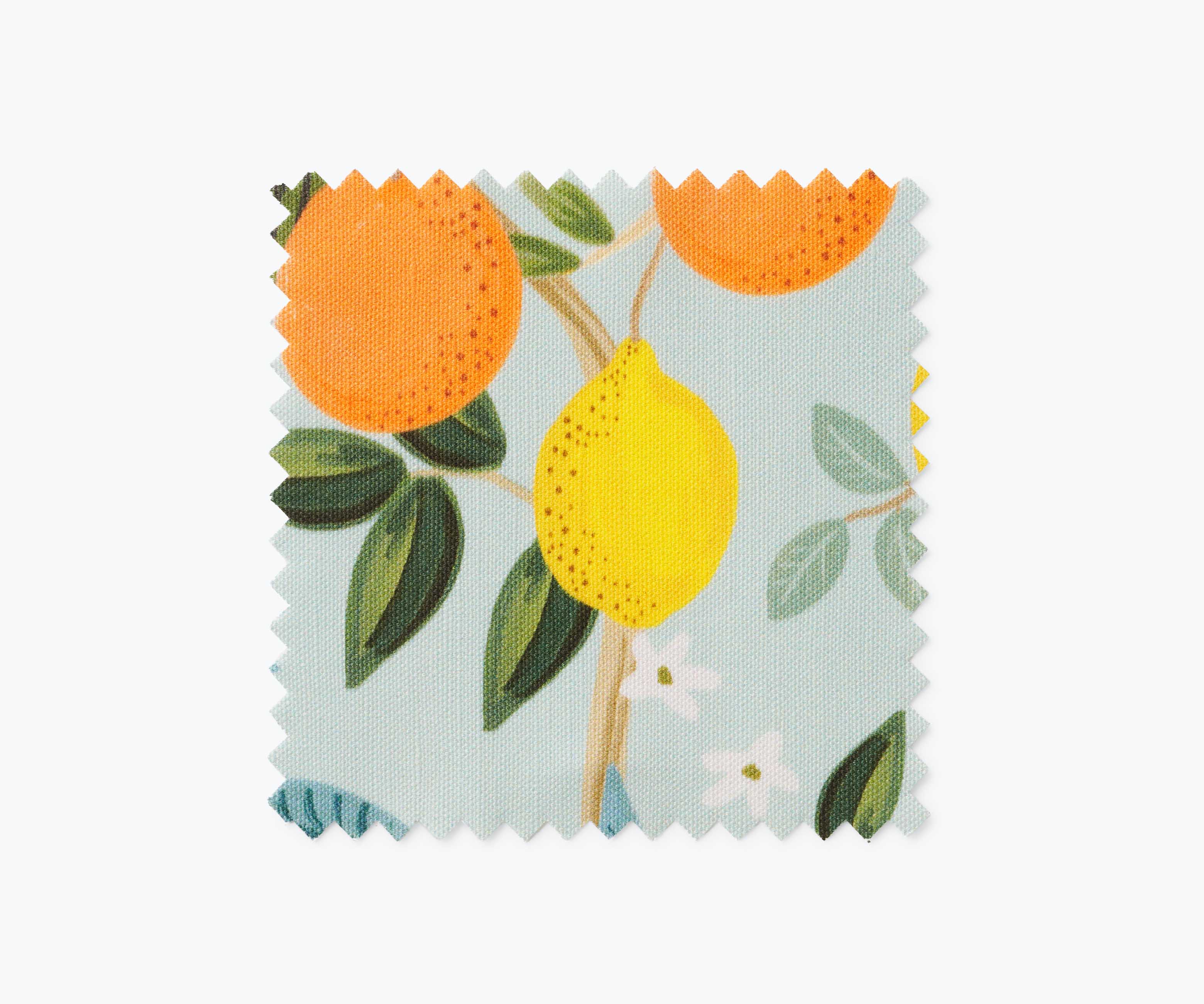 Furniture Fabric Sample - Citrus Grove