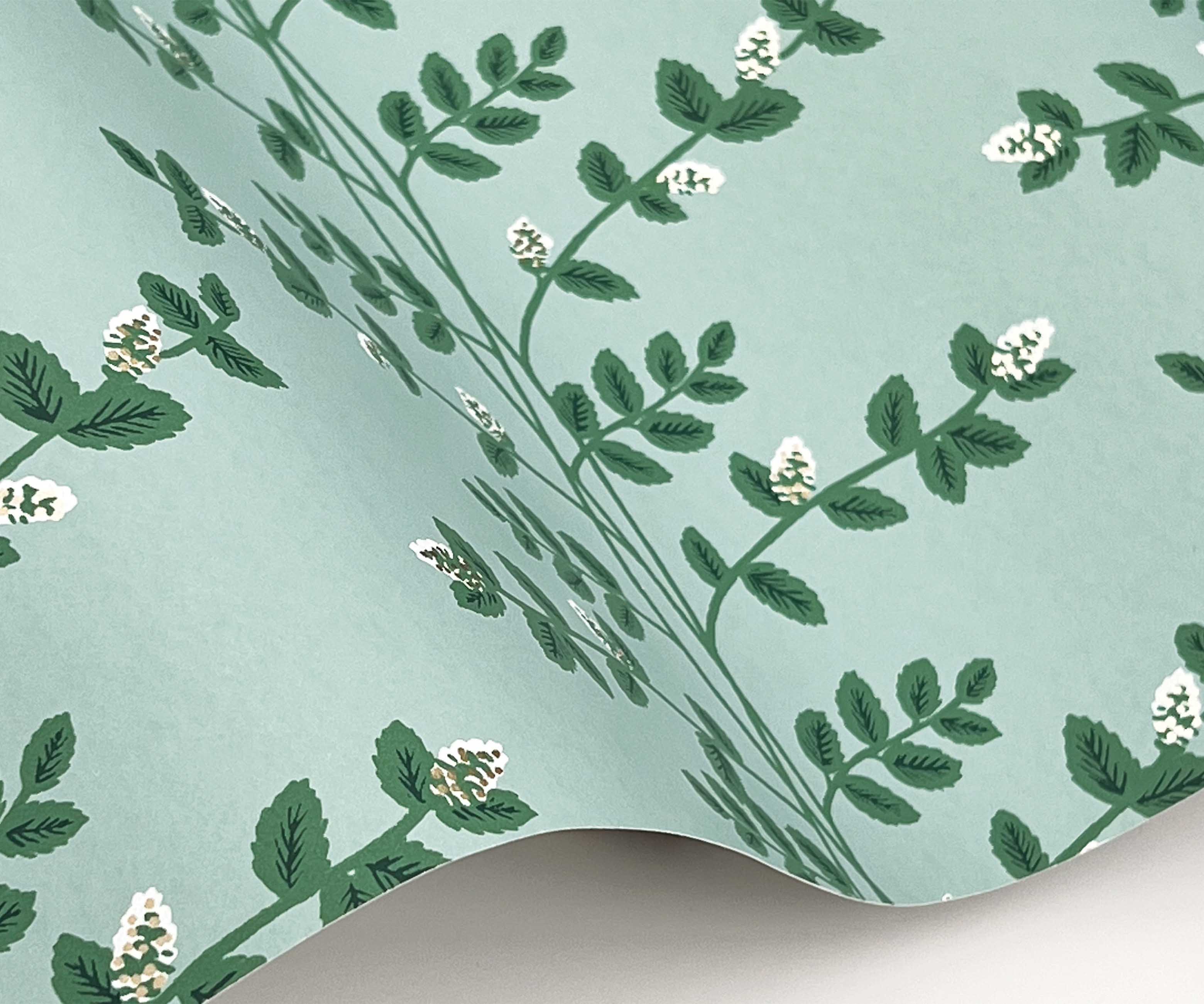 Climbing Vines Wallpaper Sample - Teal