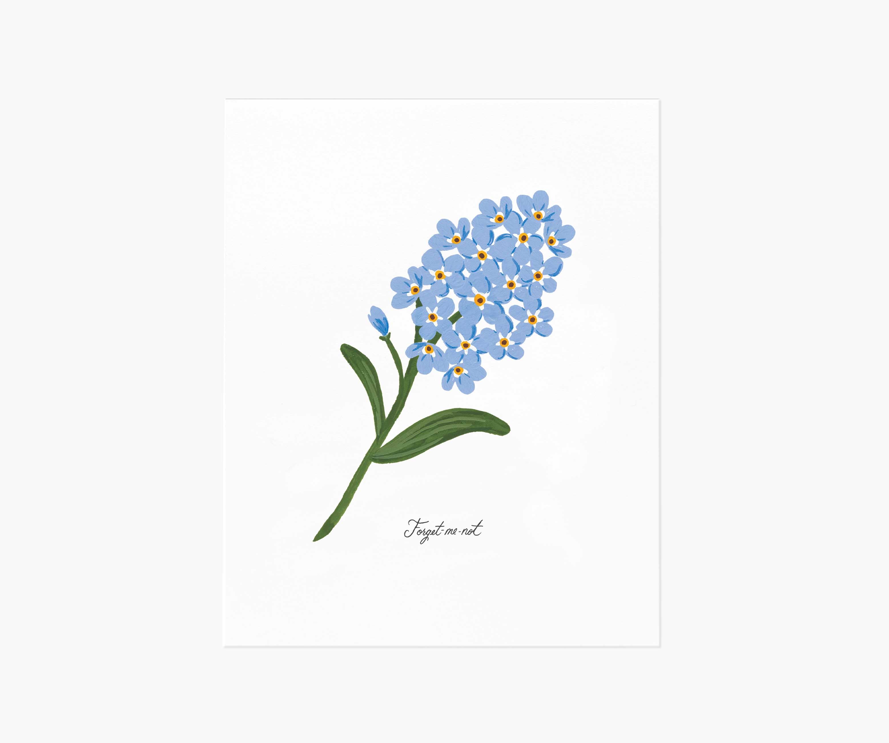 Forget-Me-Not Art Print