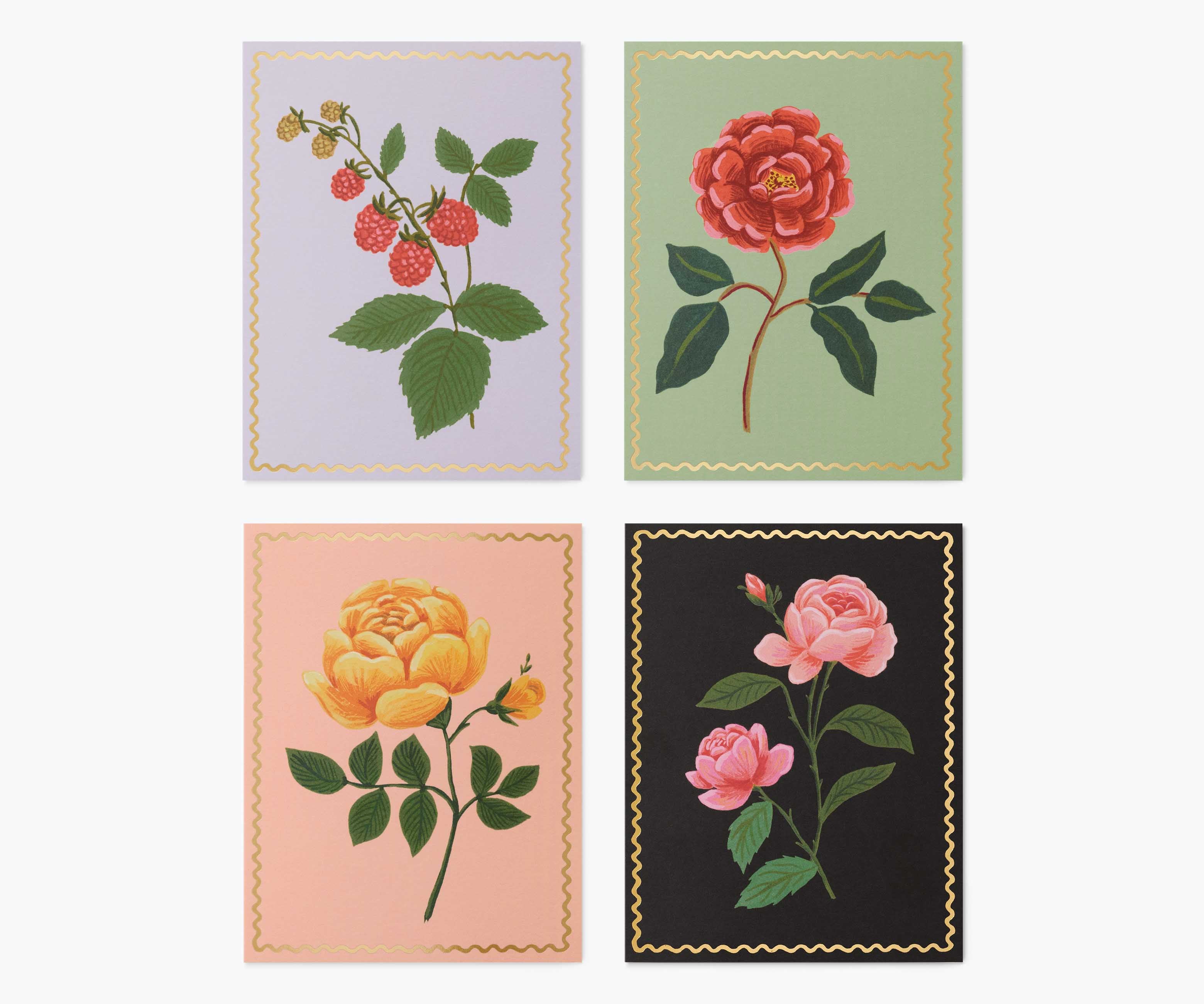 Roses Assorted Greeting Card Set