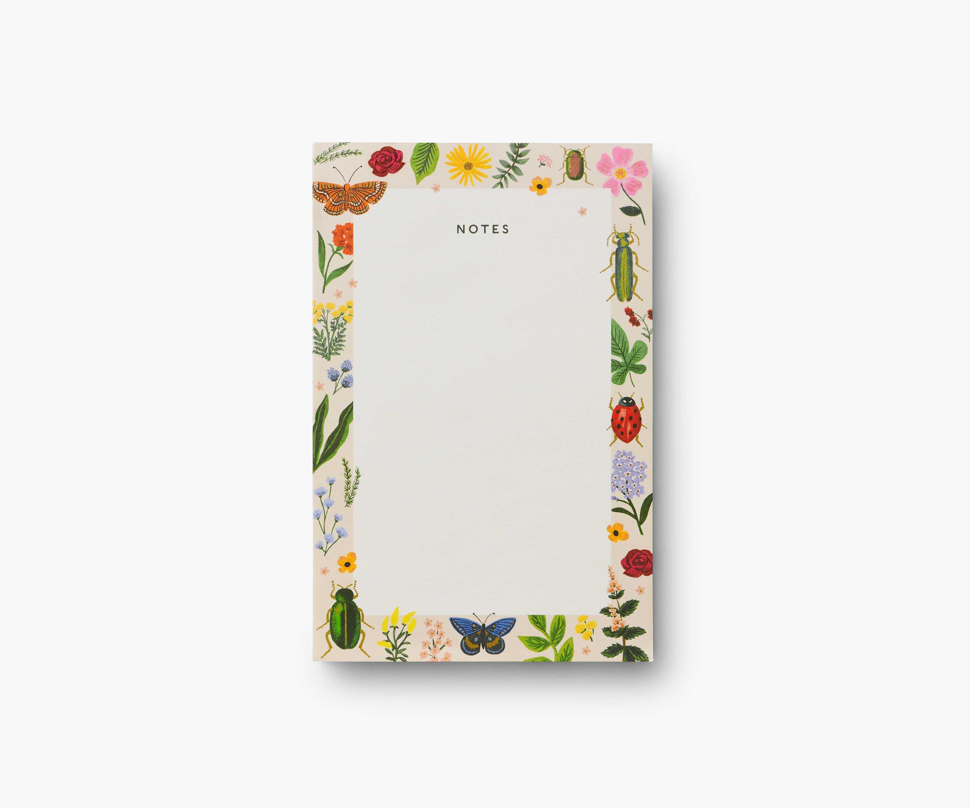 Blank Notepad - Curio