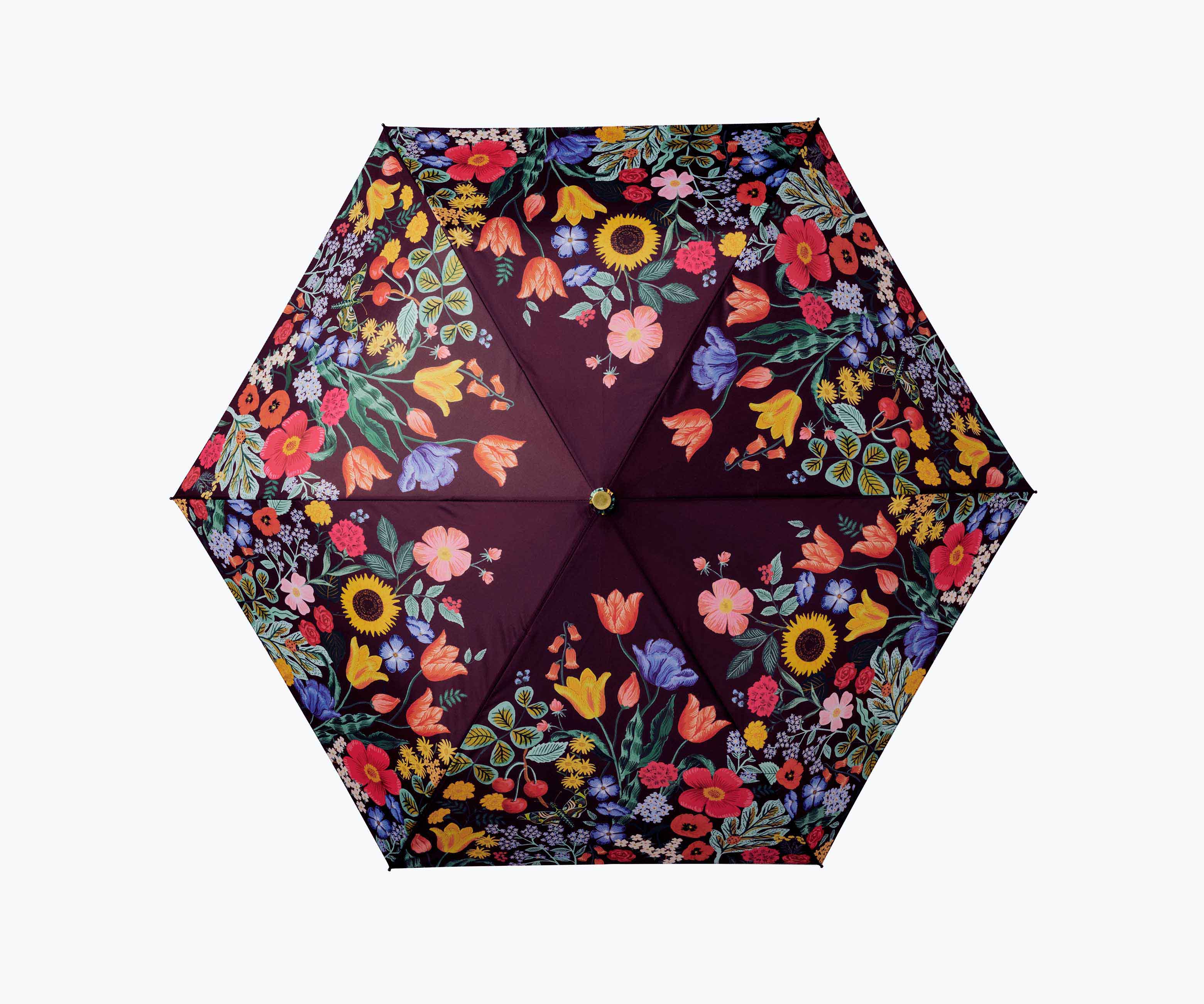 Umbrella - Blossom