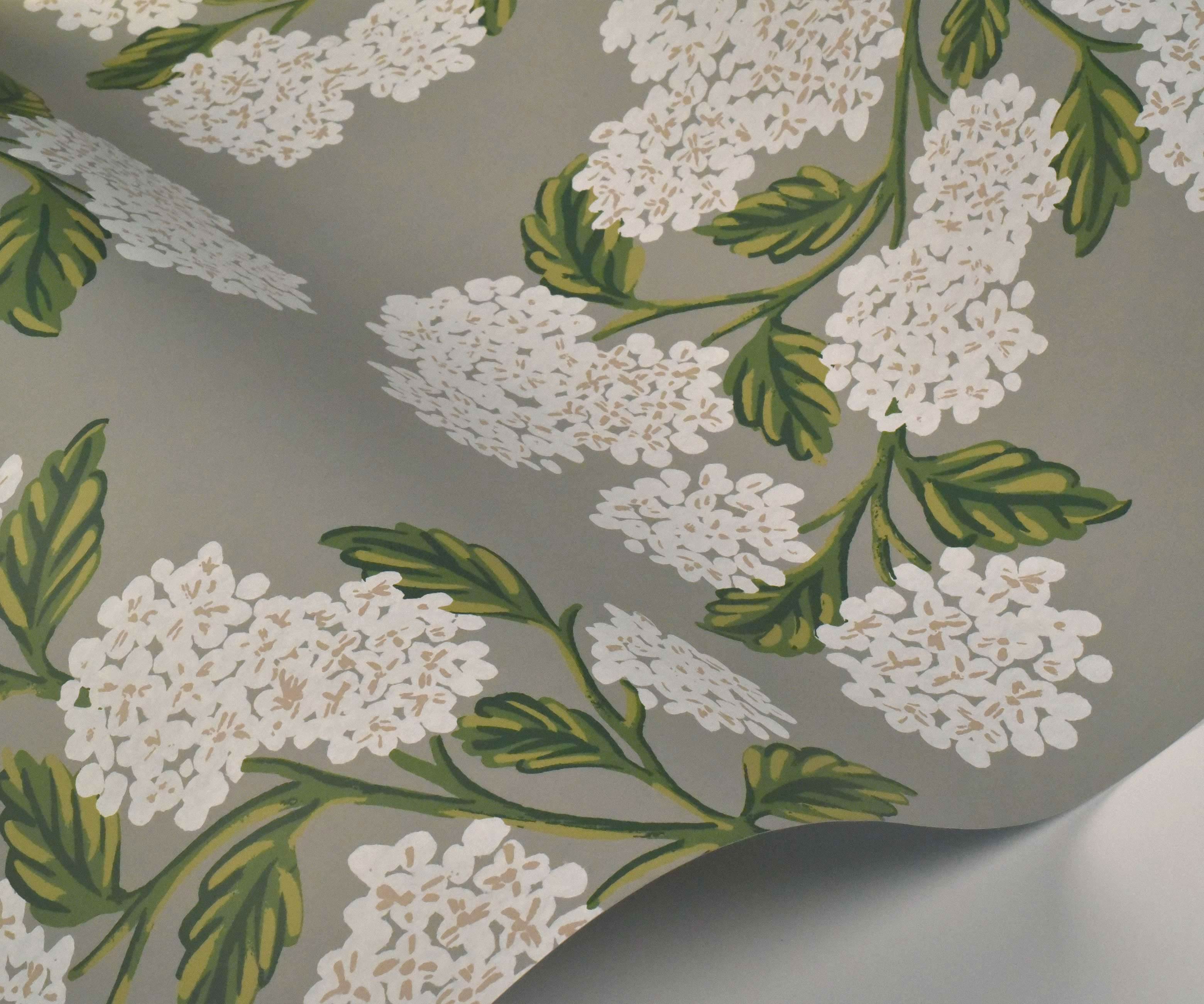 Hydrangea Wallpaper Sample - Grey