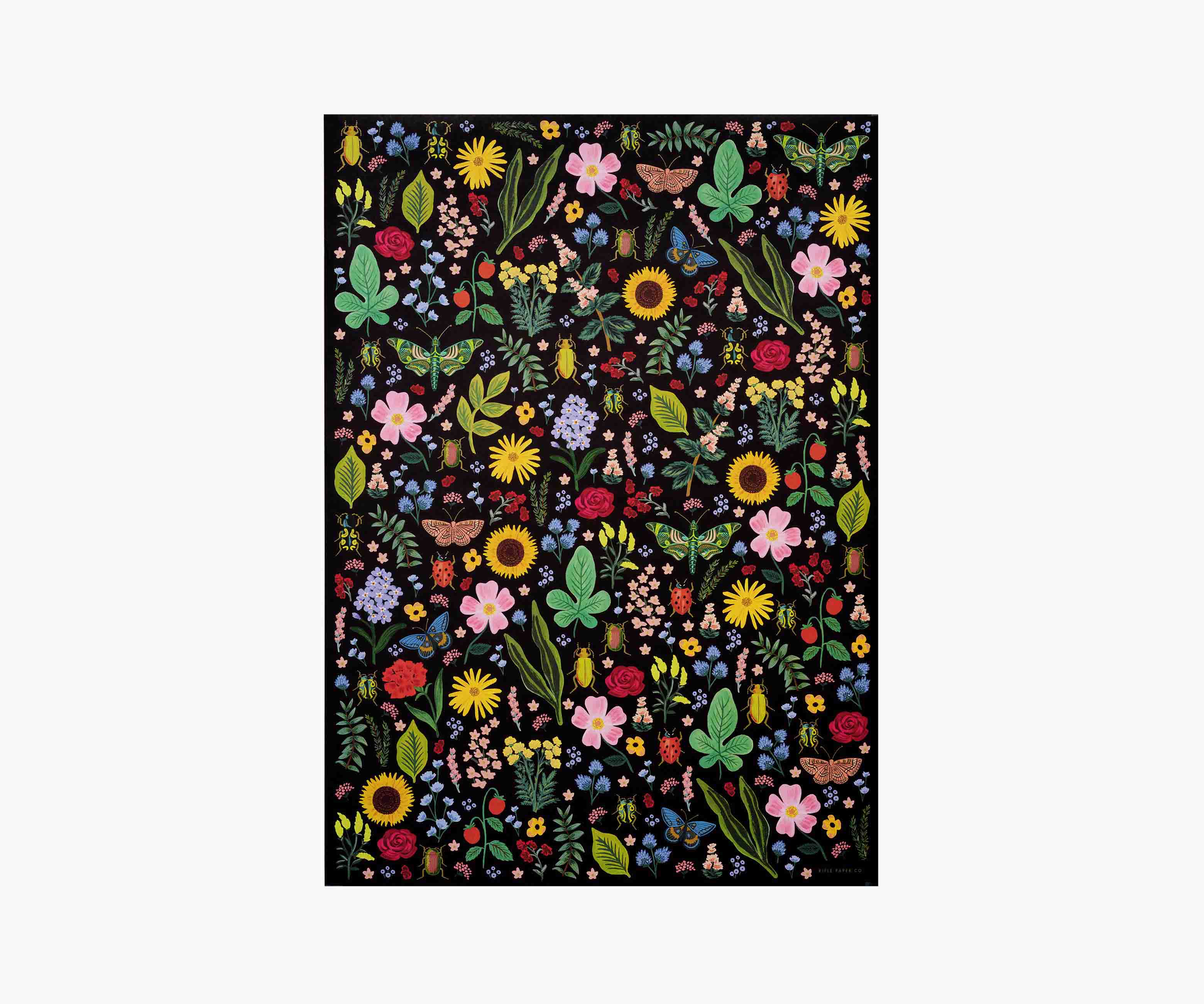 Wrapping Sheets - Curio