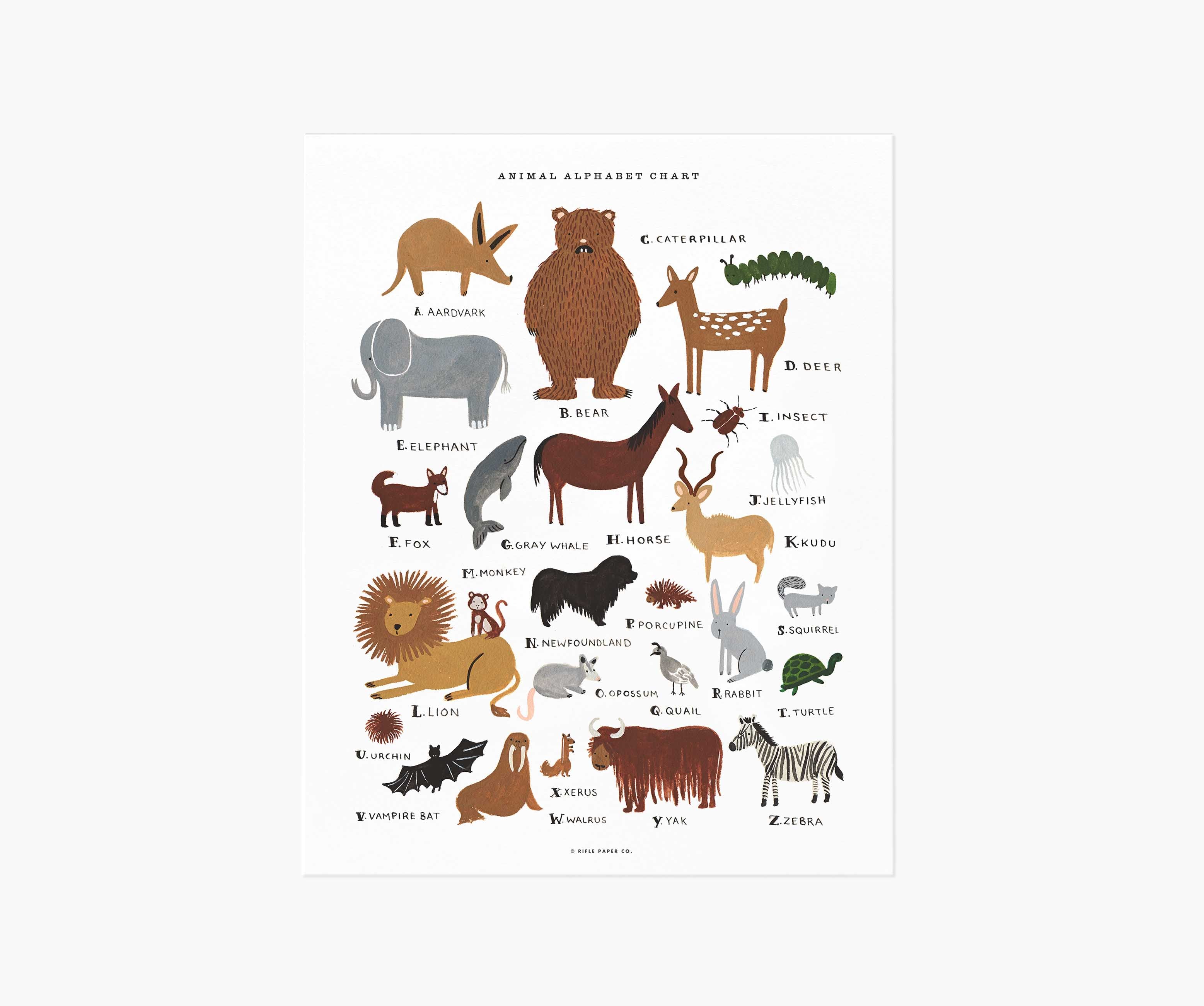 Animal Alphabet Chart Art Print