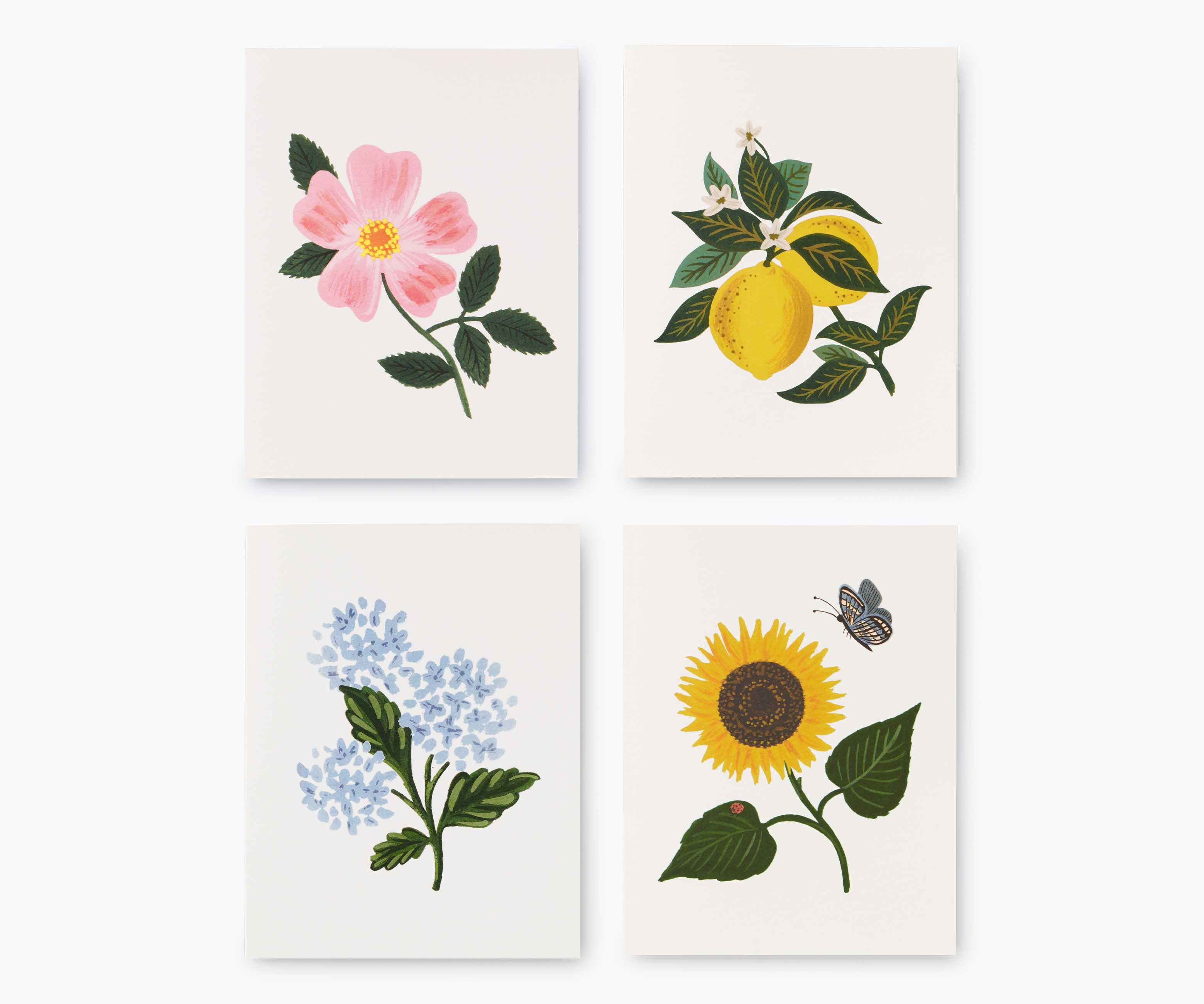 Botanical Blossom Assorted Card Set