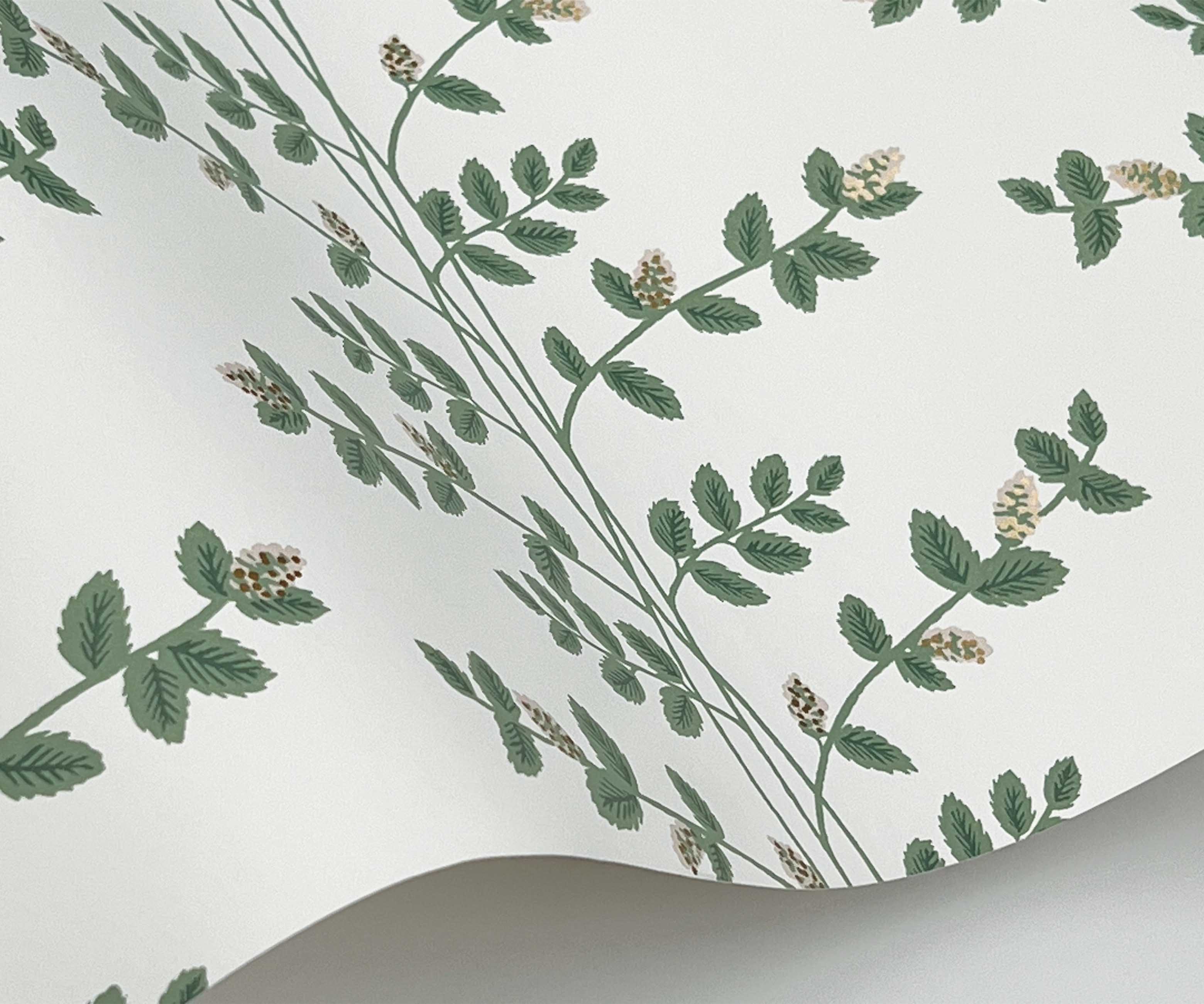 Climbing Vines Wallpaper Sample - White & Metallic Gold