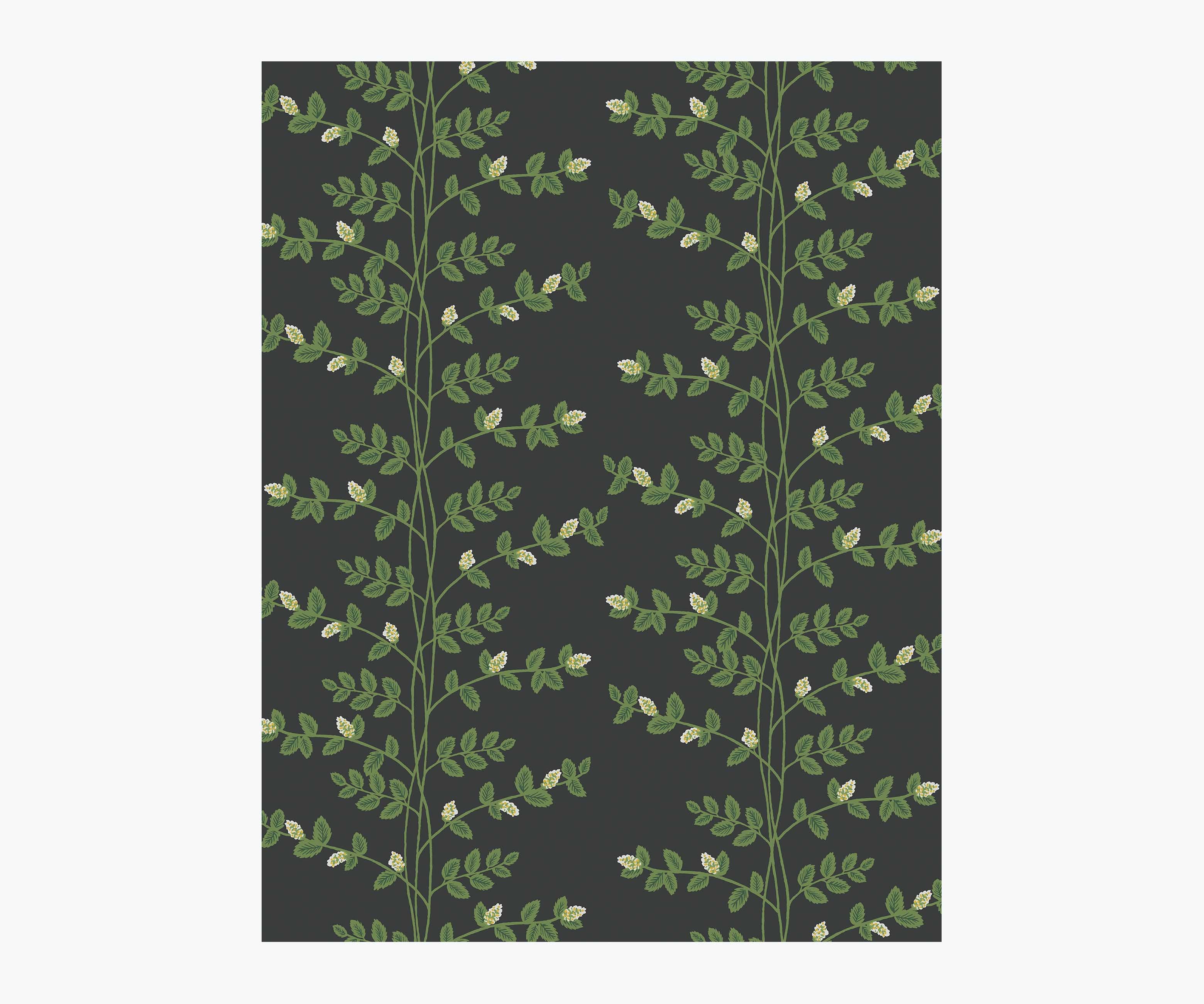 Climbing Vines Wallpaper Sample - Black