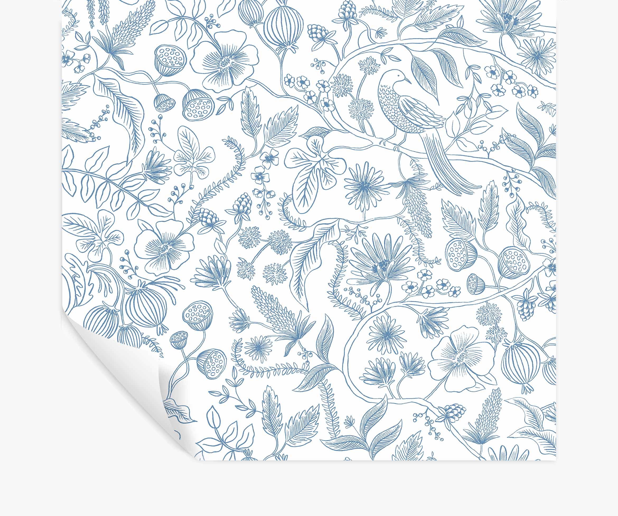 Aviary Peel & Stick Wallpaper - Blue & Cream