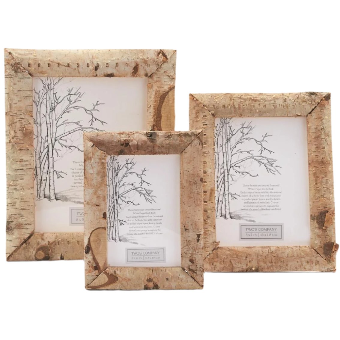 Natural White Birch Photo Frame