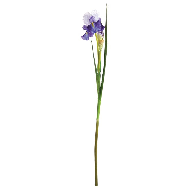 Faux Bearded Iris Stem - 37