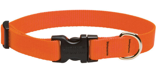 Lupine Adjustable Nylon Dog Collar - Solid Colors