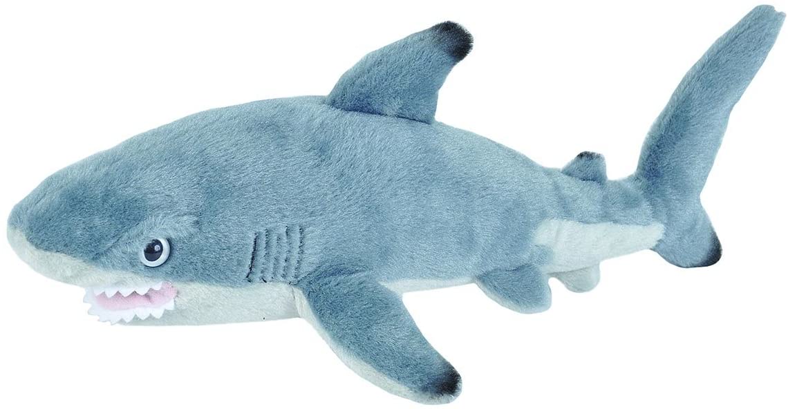 Cuddlekins Plush Blacktip Shark - 8