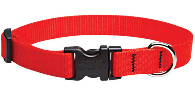 Lupine Adjustable Nylon Dog Collar - Solid Colors