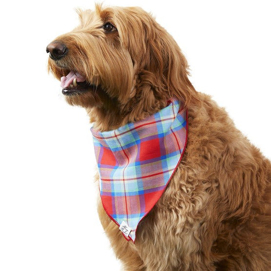 Harry Barker Madras Dog Bandana