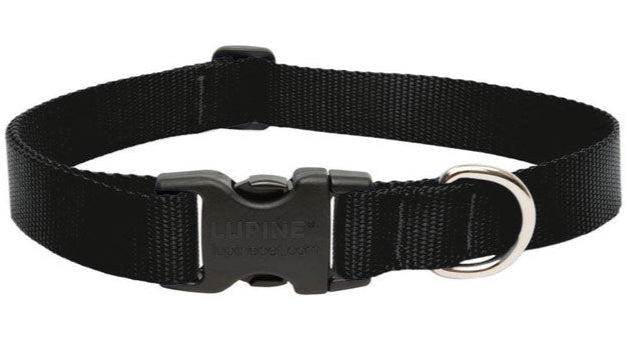 Lupine Adjustable Nylon Dog Collar - Solid Colors