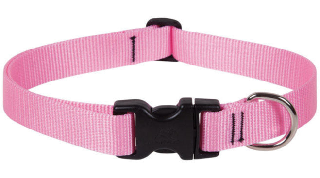 Lupine Adjustable Nylon Dog Collar - Solid Colors