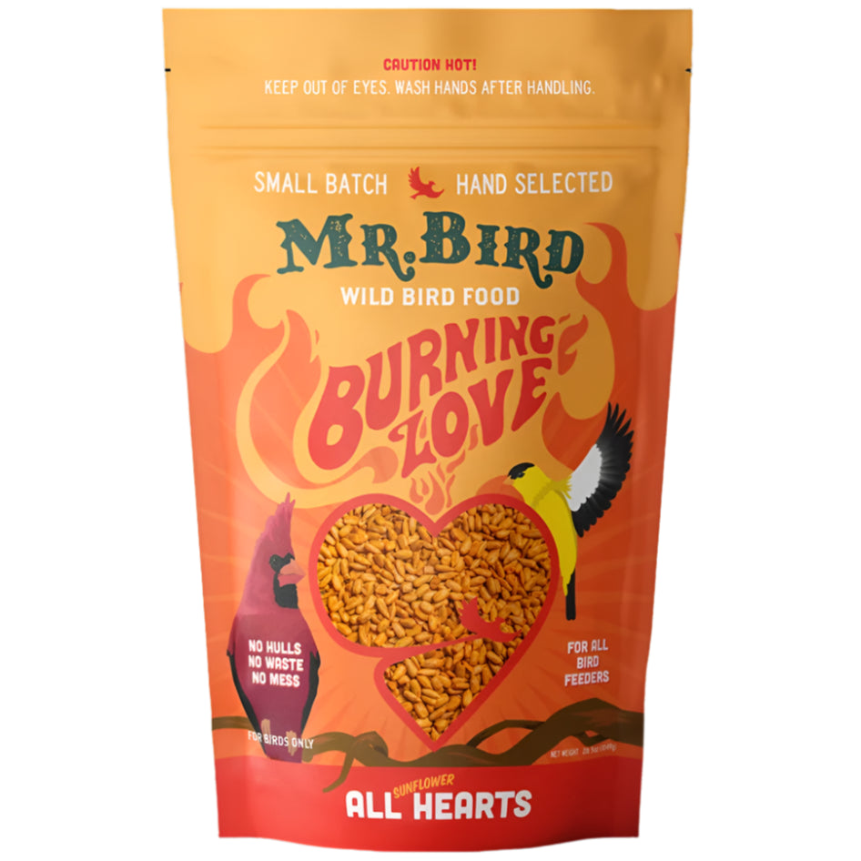 Mr. Bird Burning Love Bird Feed