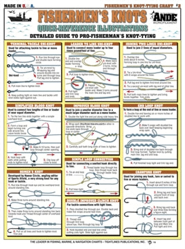 Tidelines Charts