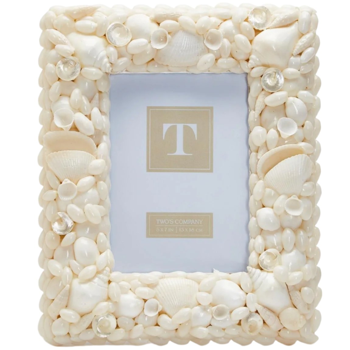 Coquillage Natural Shell Photo Frame - 5 x 7