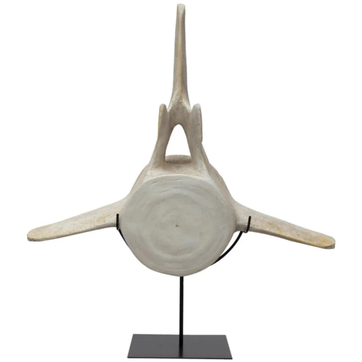 Resin Reproduction Whale Bone w/ Metal Stand