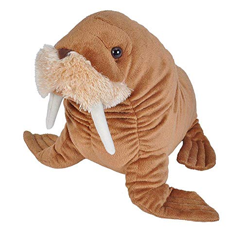 Cuddlekins Plush Walrus - 12