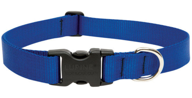 Lupine Adjustable Nylon Dog Collar - Solid Colors