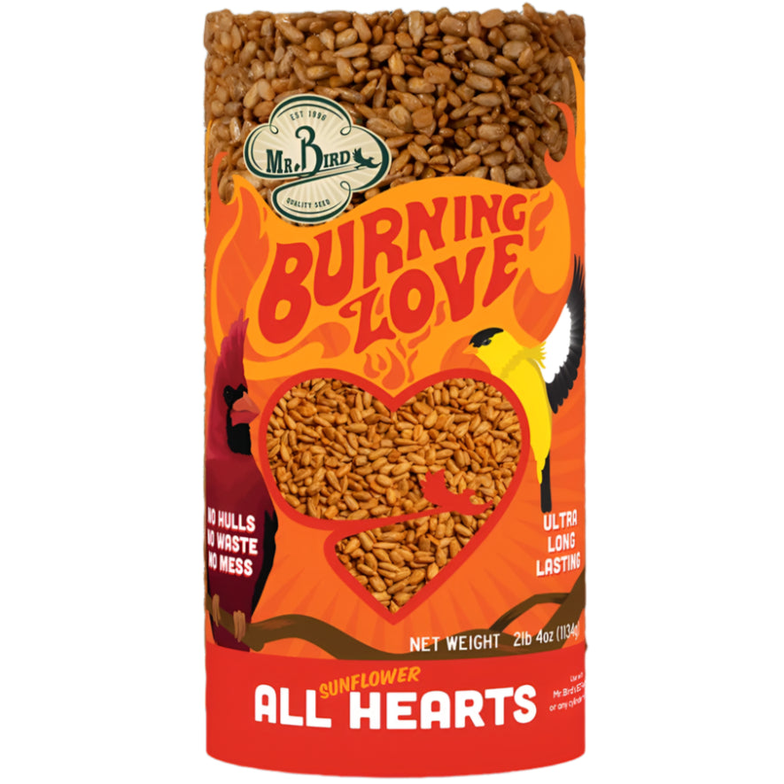 Mr. Bird Burning Love Bird Feed