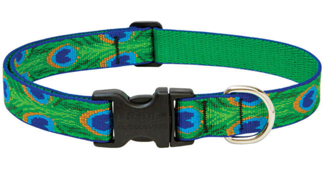 Lupine Adjustable Nylon Dog Collar - Patterns & Designs