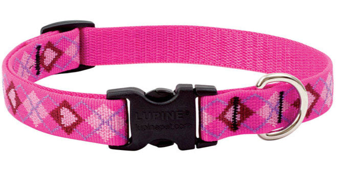 Lupine Adjustable Nylon Dog Collar - Patterns & Designs