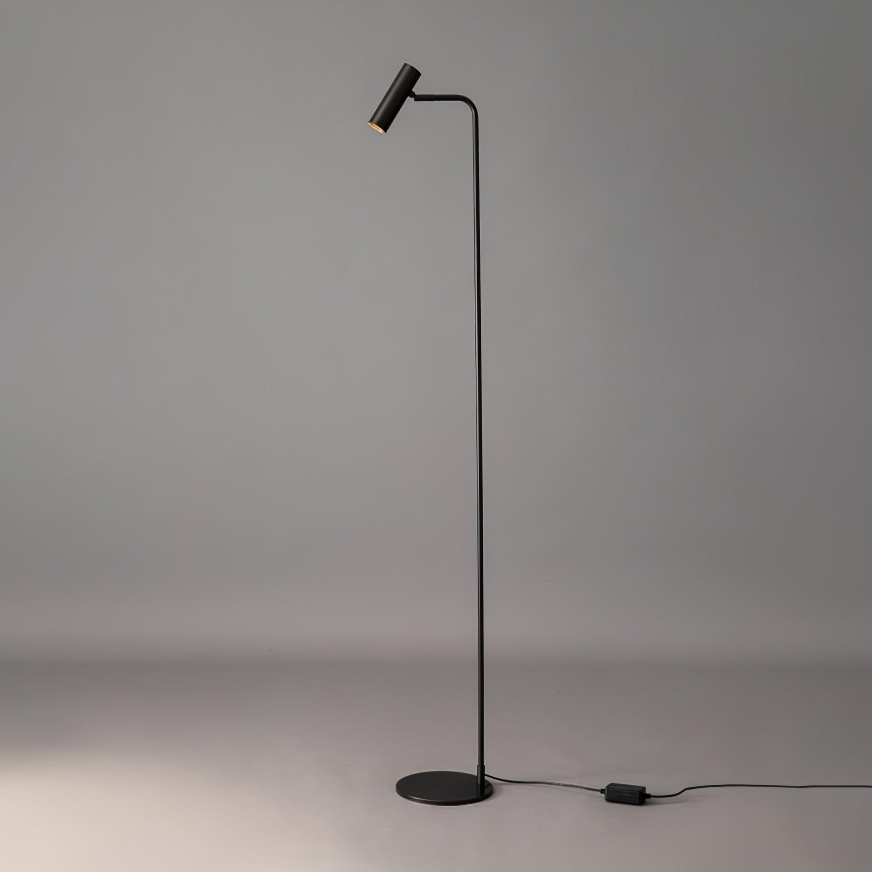 Torris Floor Lamp