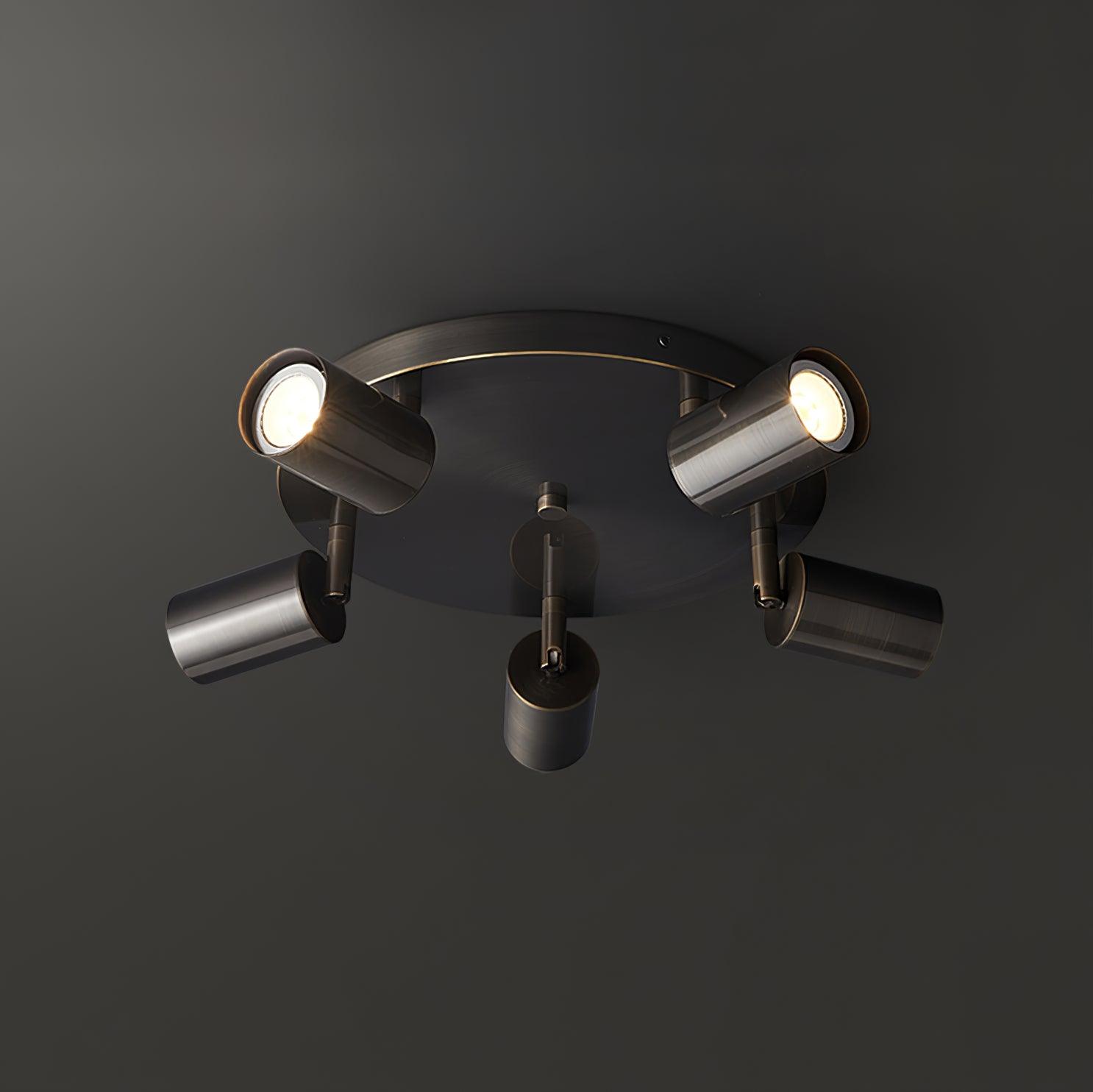 Hugo Hotspot Ceiling Light