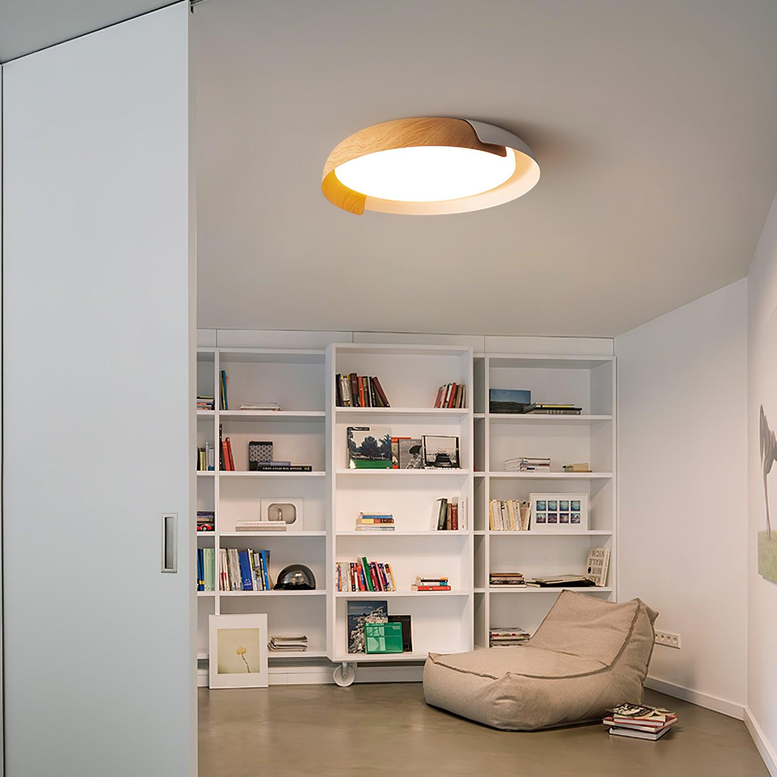 Vikaey Ceiling Light