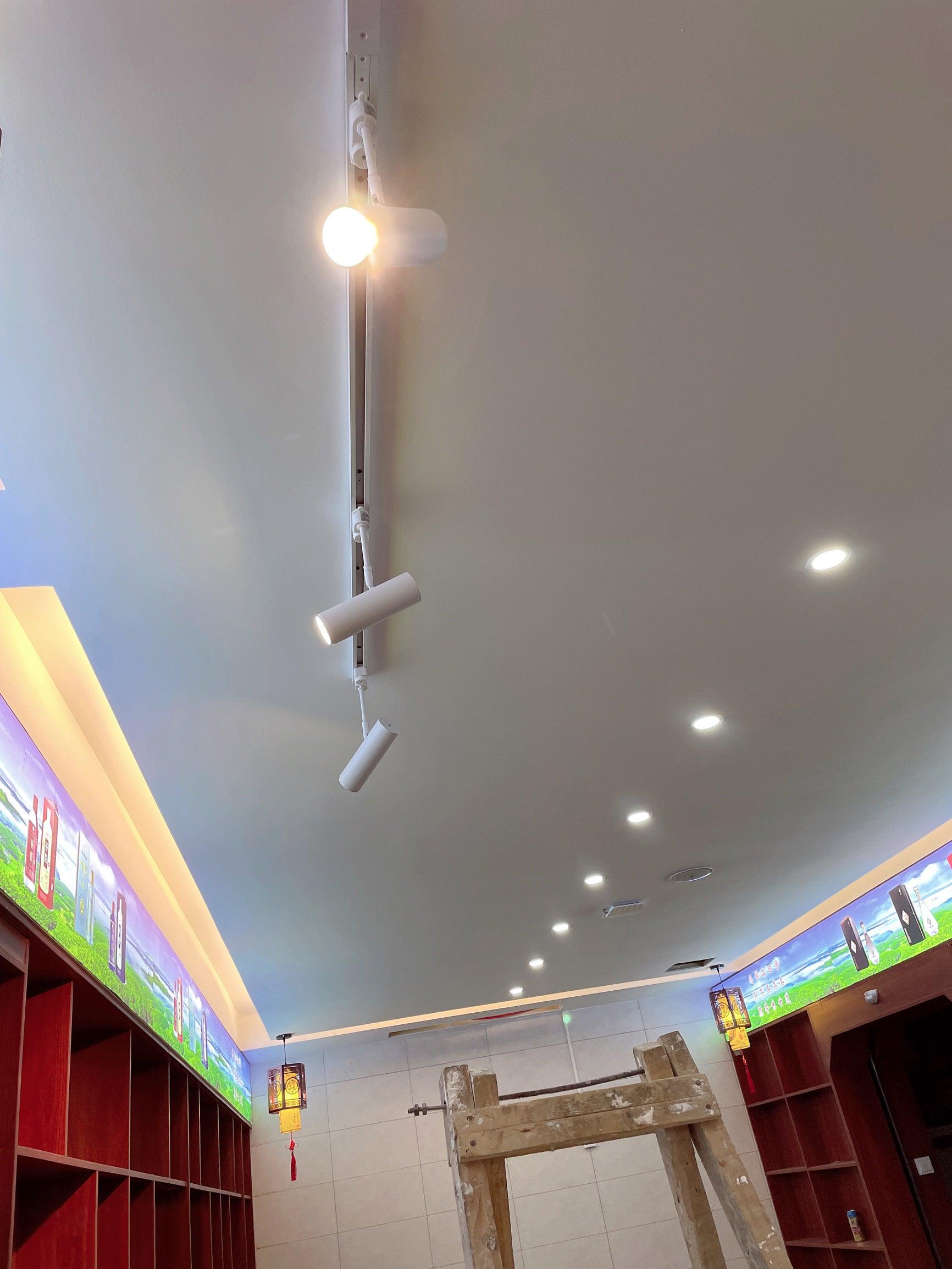 Flatspot Ceiling Light