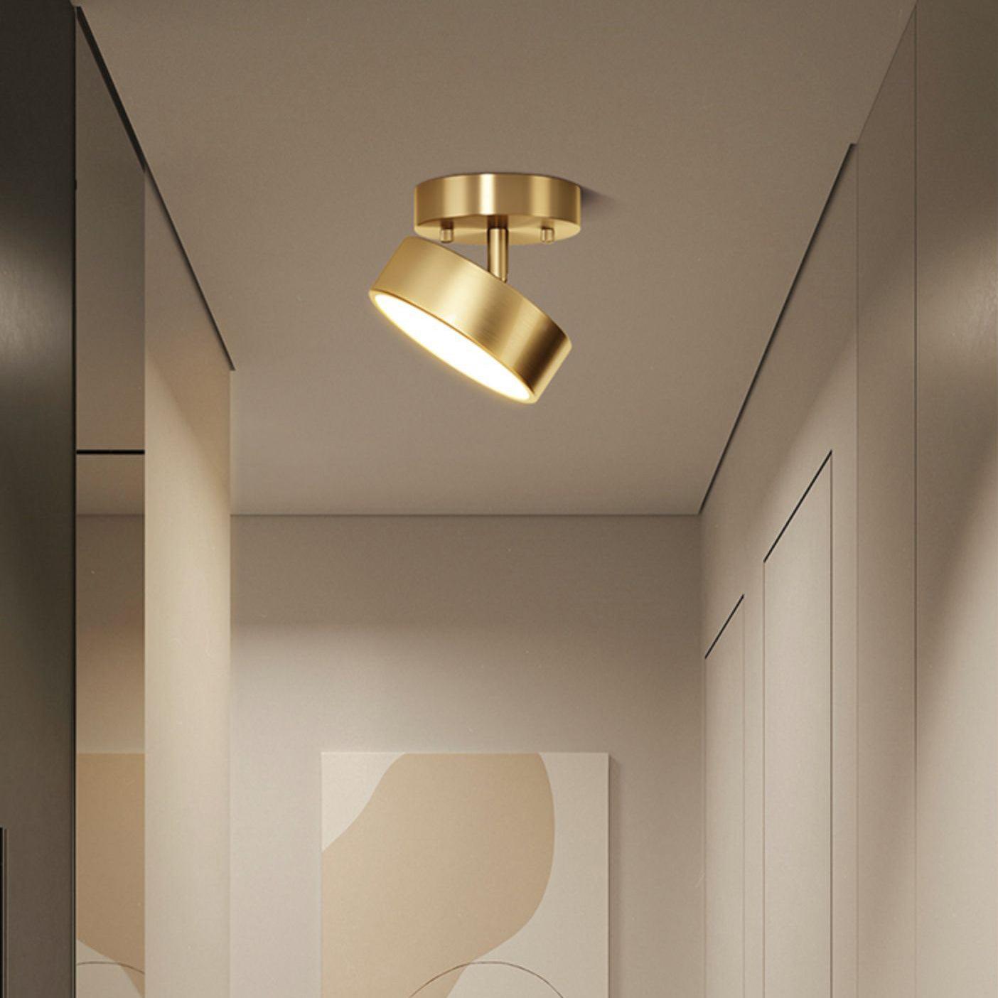 Hero Rotating Ceiling Lamp