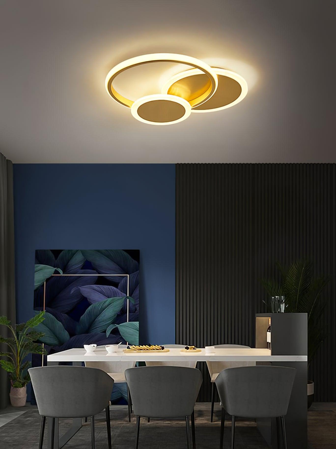 Circles LED Ceiling Light